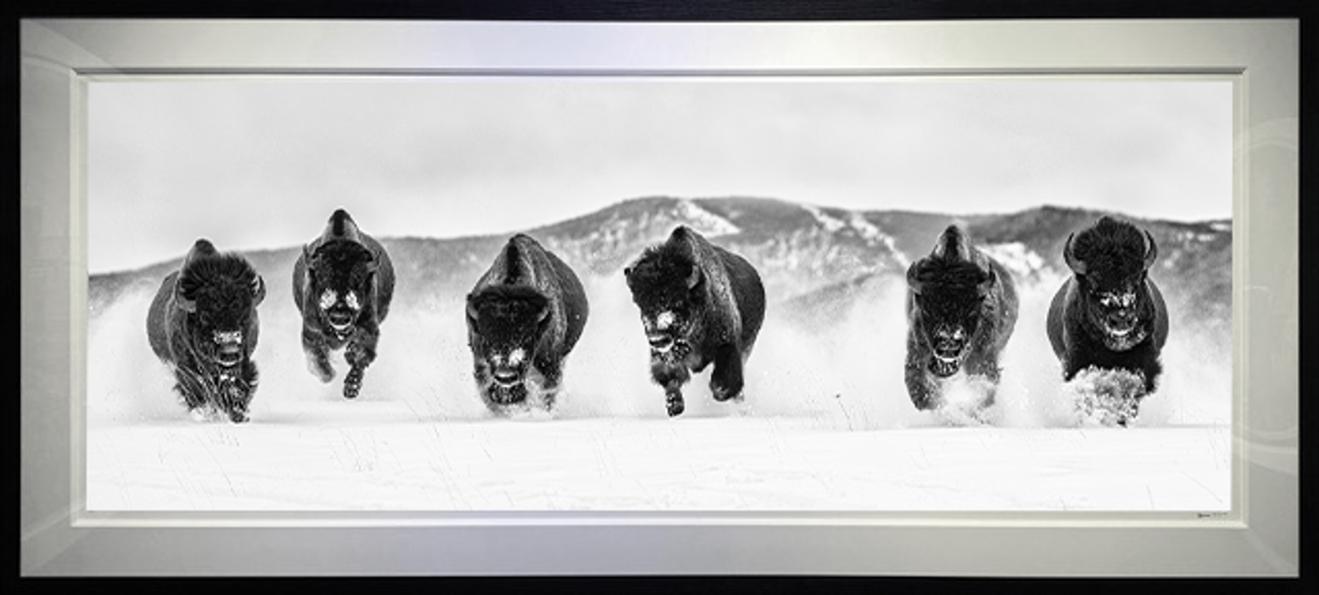 The Bills lll by David Yarrow