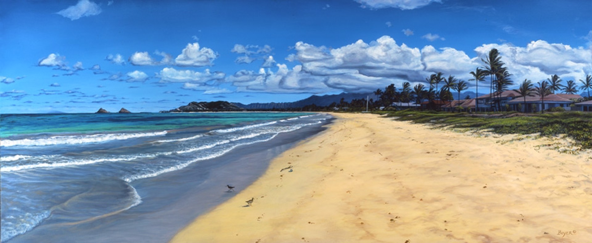 Kailua Beachfront by Lynne Boyer