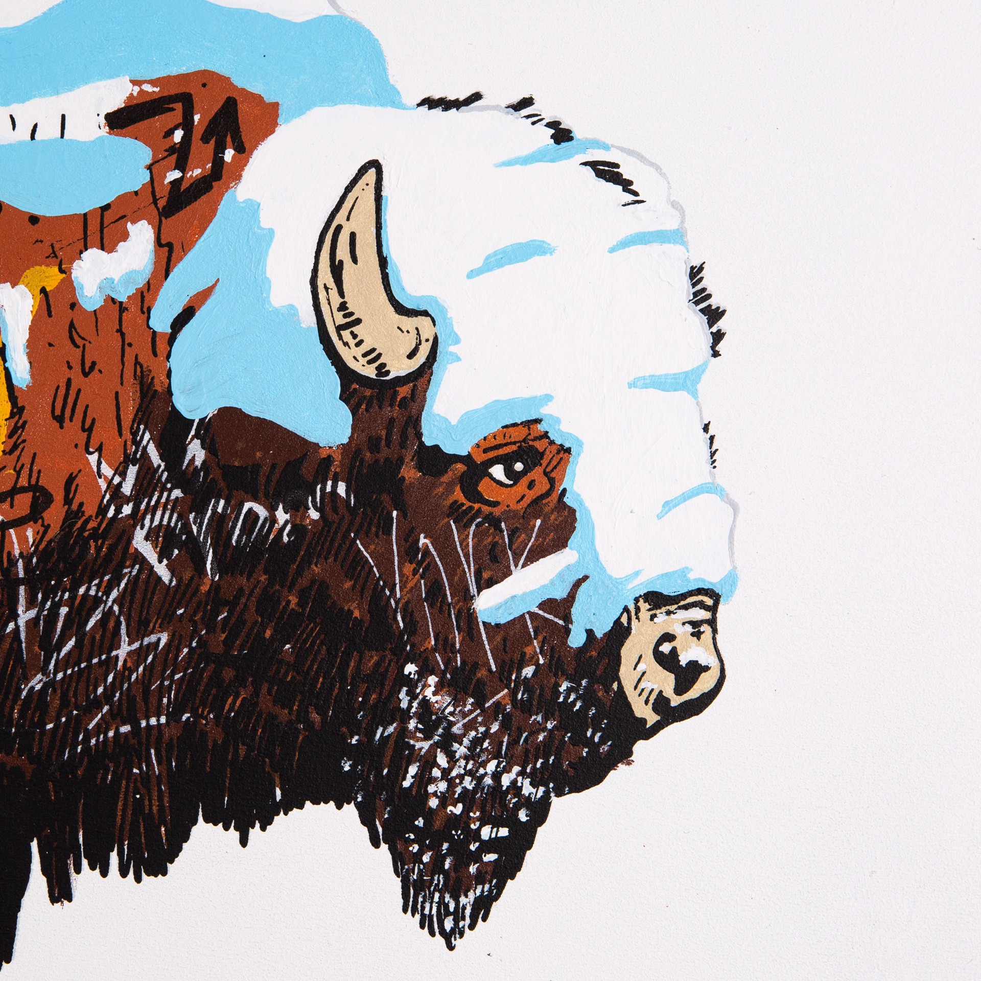 Graffiti Buffalo (WIA Winter 2) by Whatisadam
