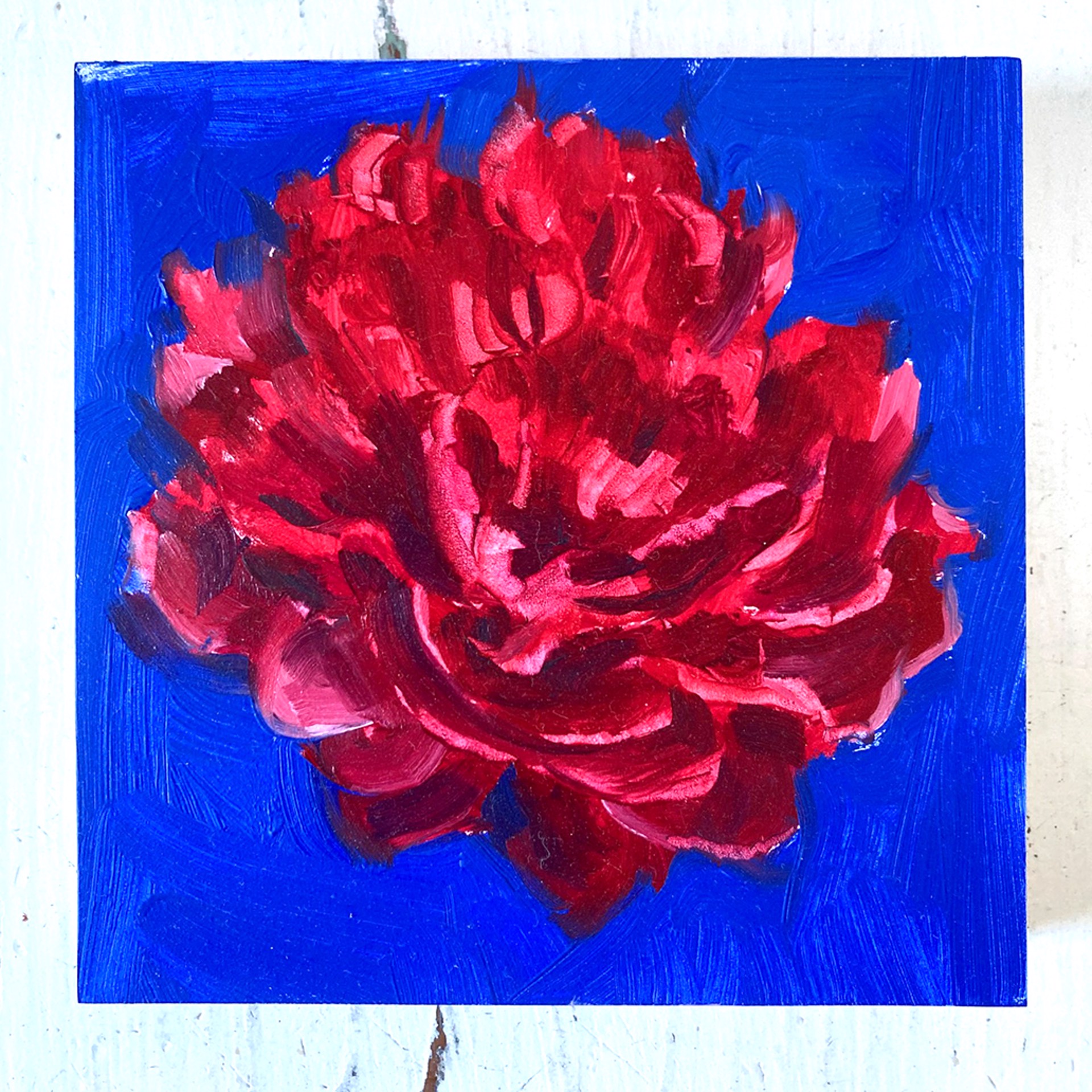 Peony Project #14 by Amy R. Peterson*