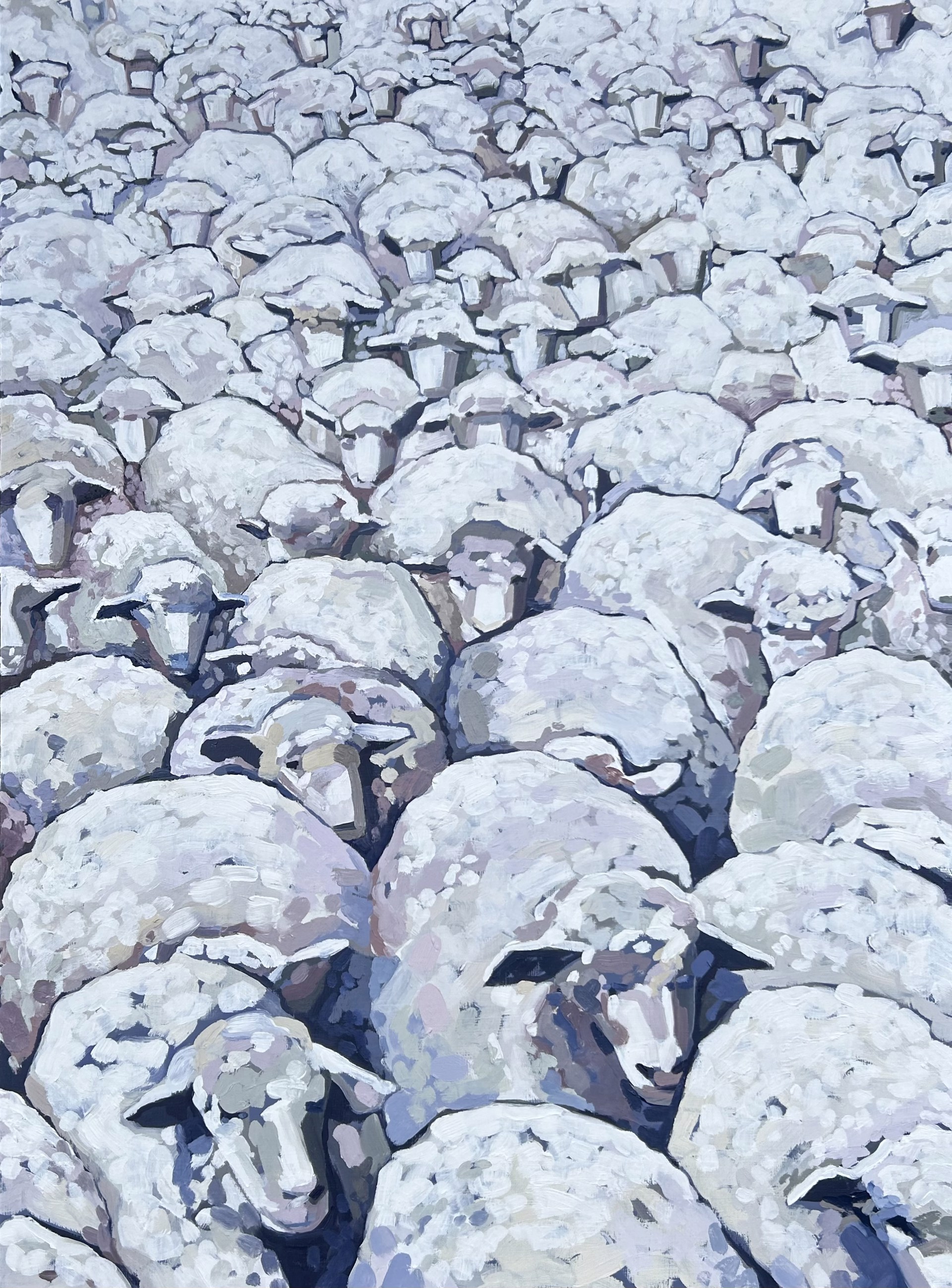 Sheep Festival by Berkeley Hoerr