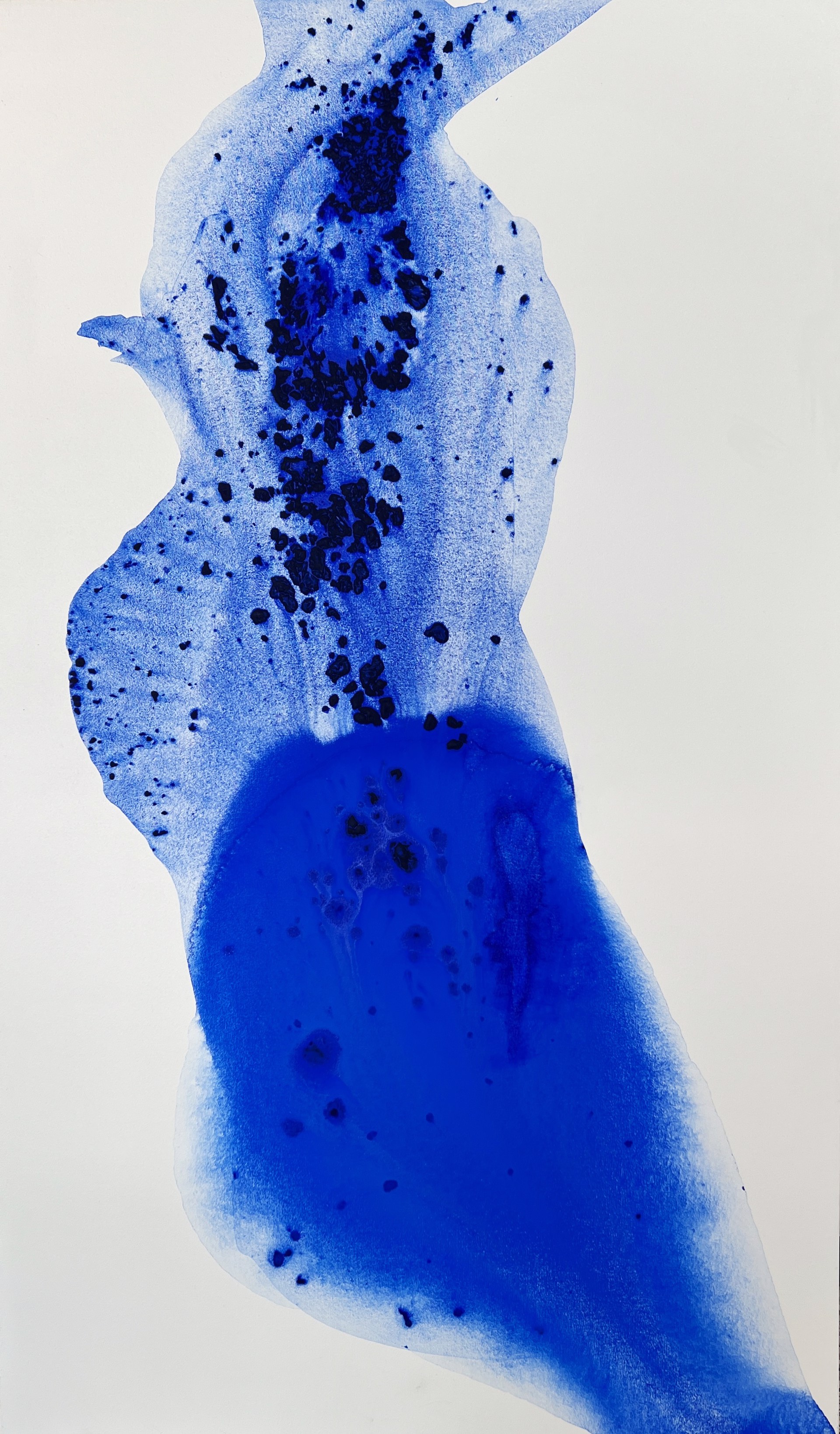 Visions in Blue by Clara Berta