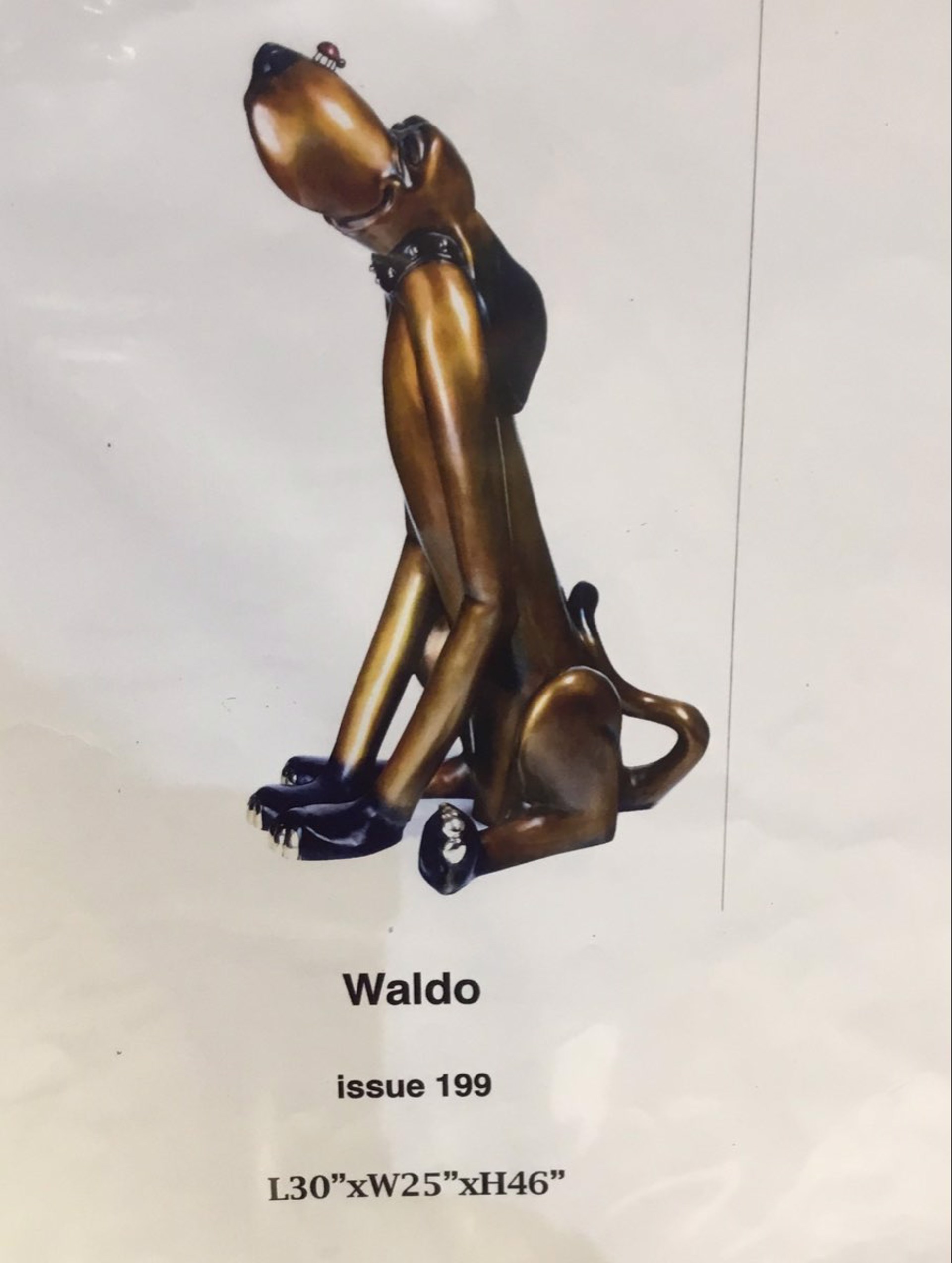 Waldo by Marty Goldstein
