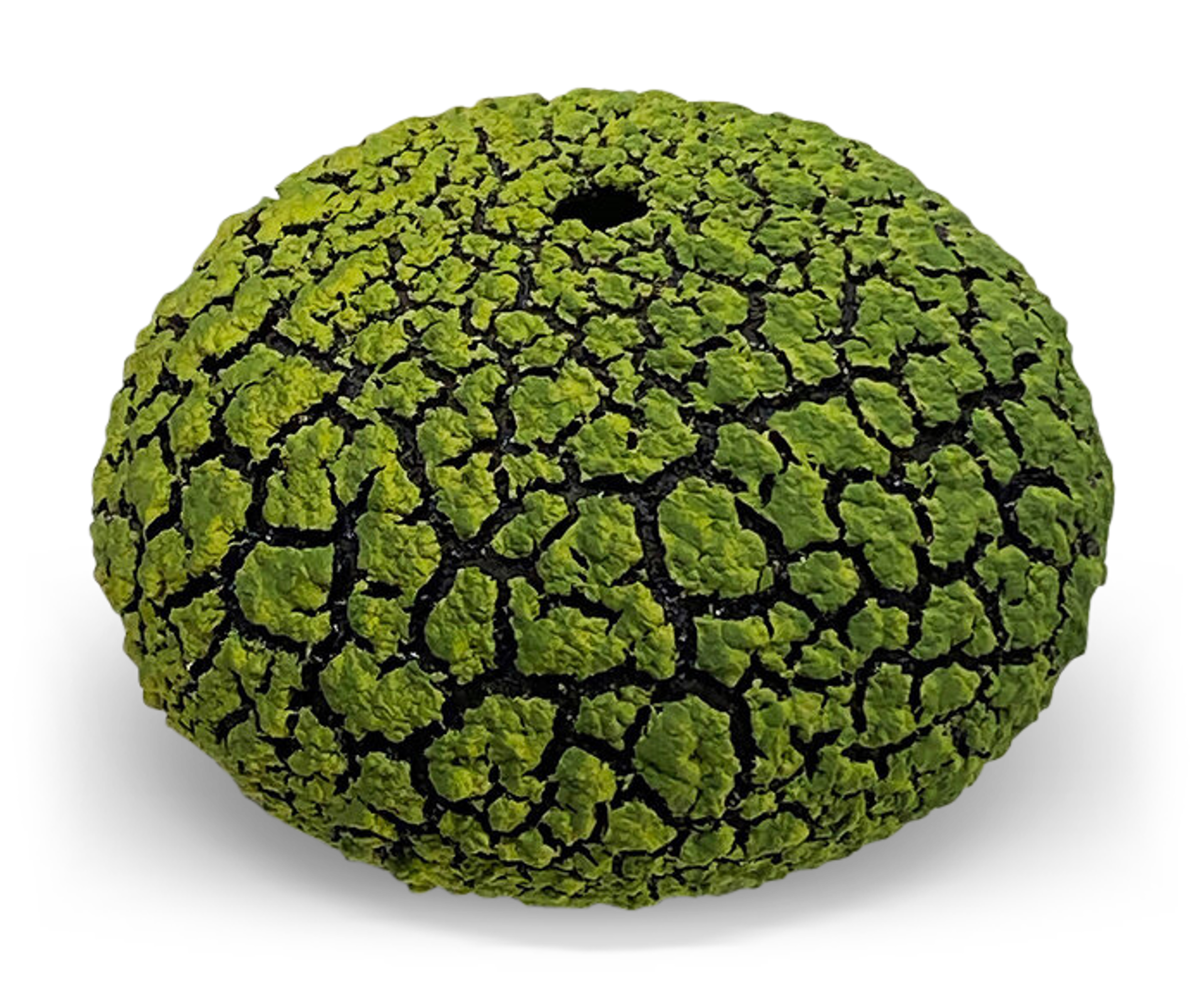 Urchin Vessel ~ Lime Green by Randy O'Brien