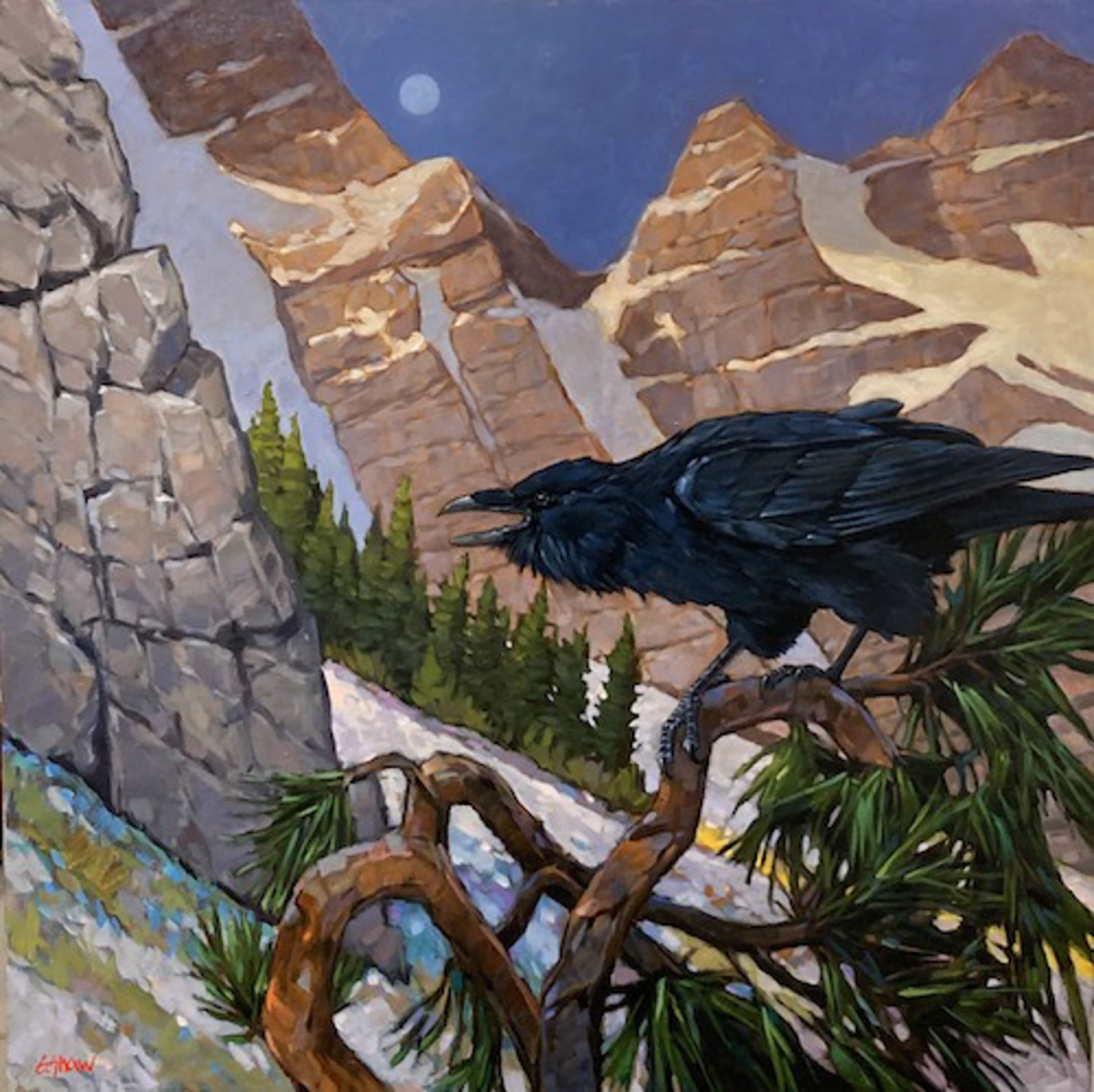 The Raven by Graeme Shaw