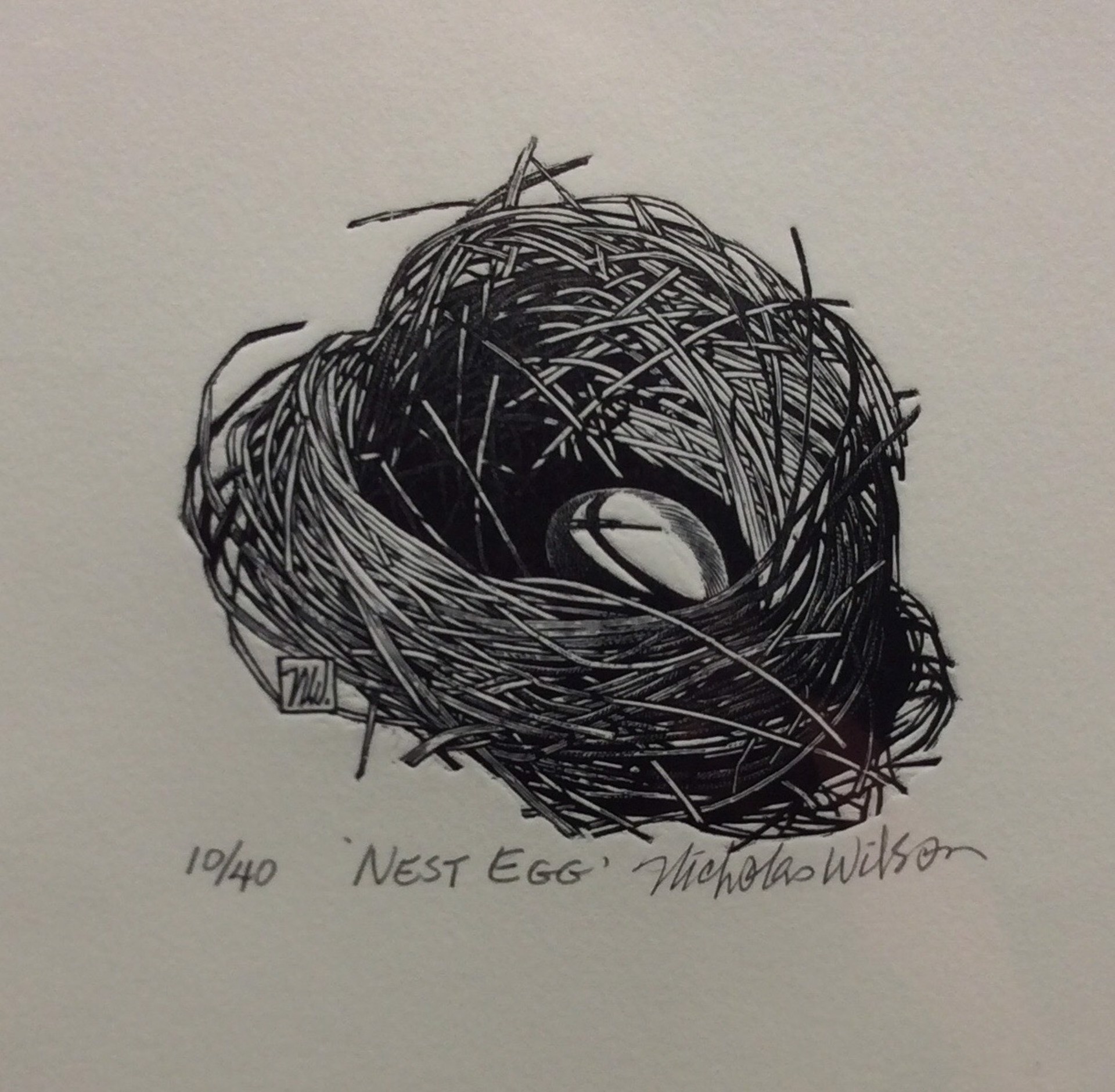 Nest Egg by Nicholas Wilson