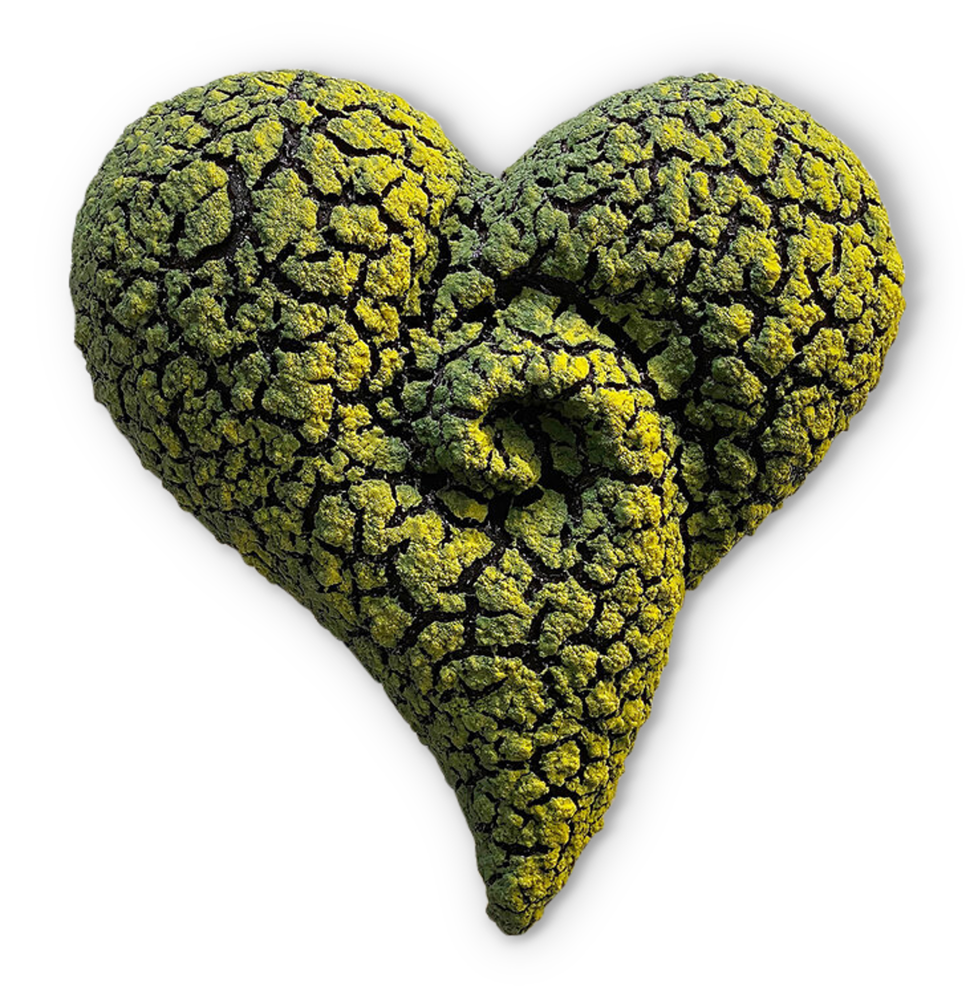 Yellow and Green Swirled Lichen Heart by Randy O'Brien