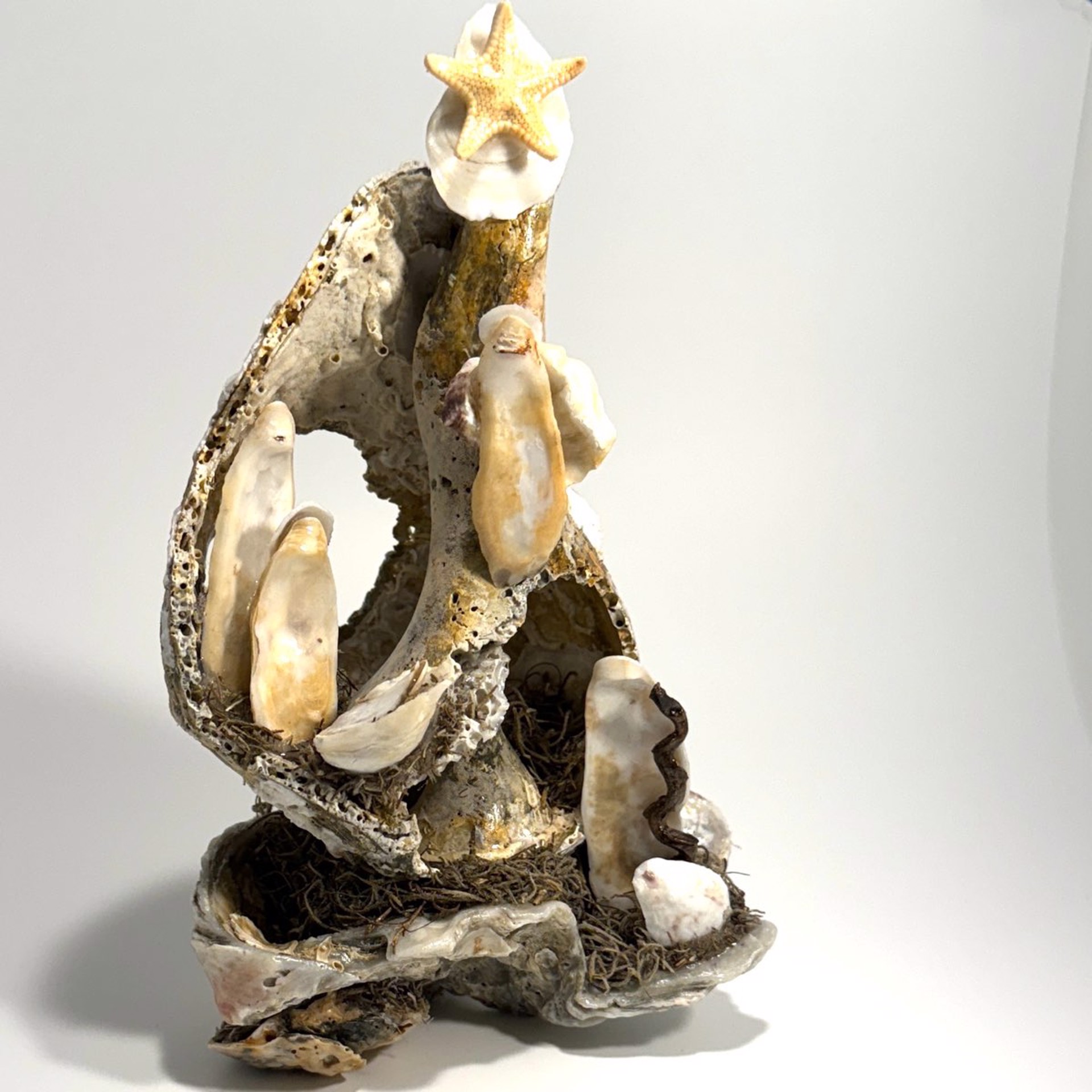 Standing Whelk on Oyster Shell, Crèche of the Sea CN23-51 by Chris Nietert