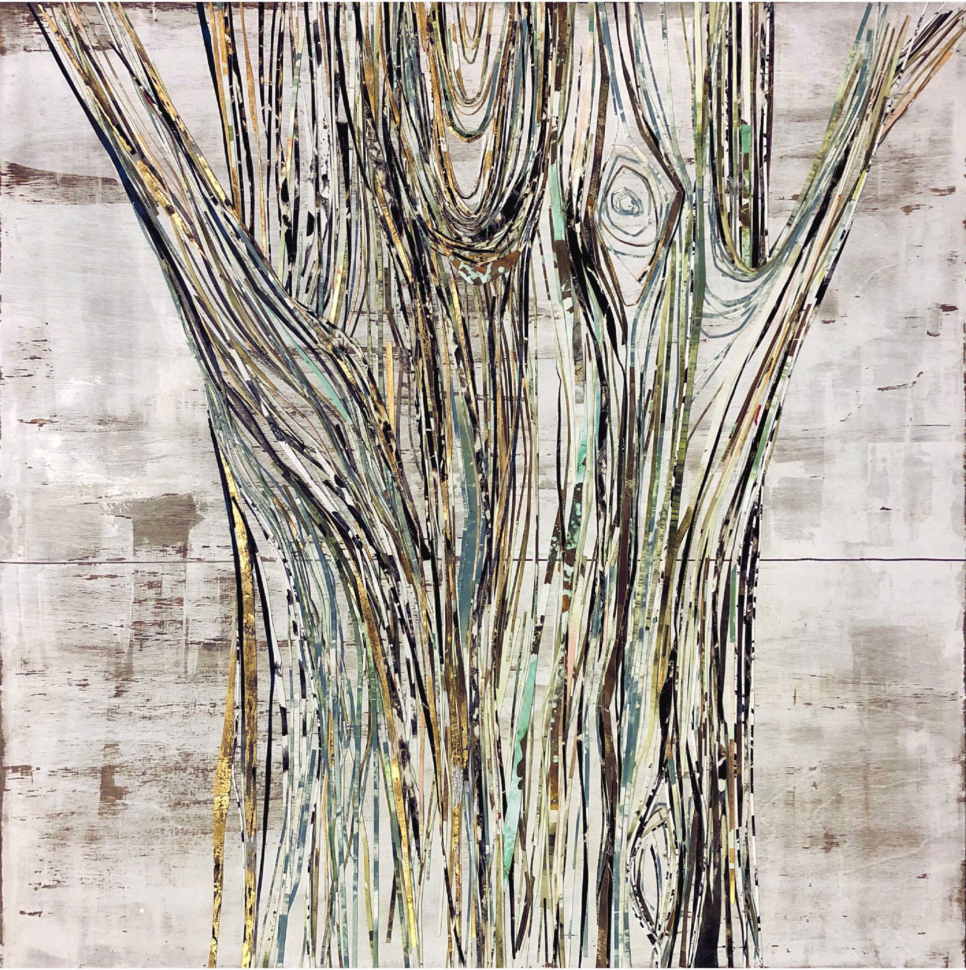 Branching Pine by Anastasia Kimmett