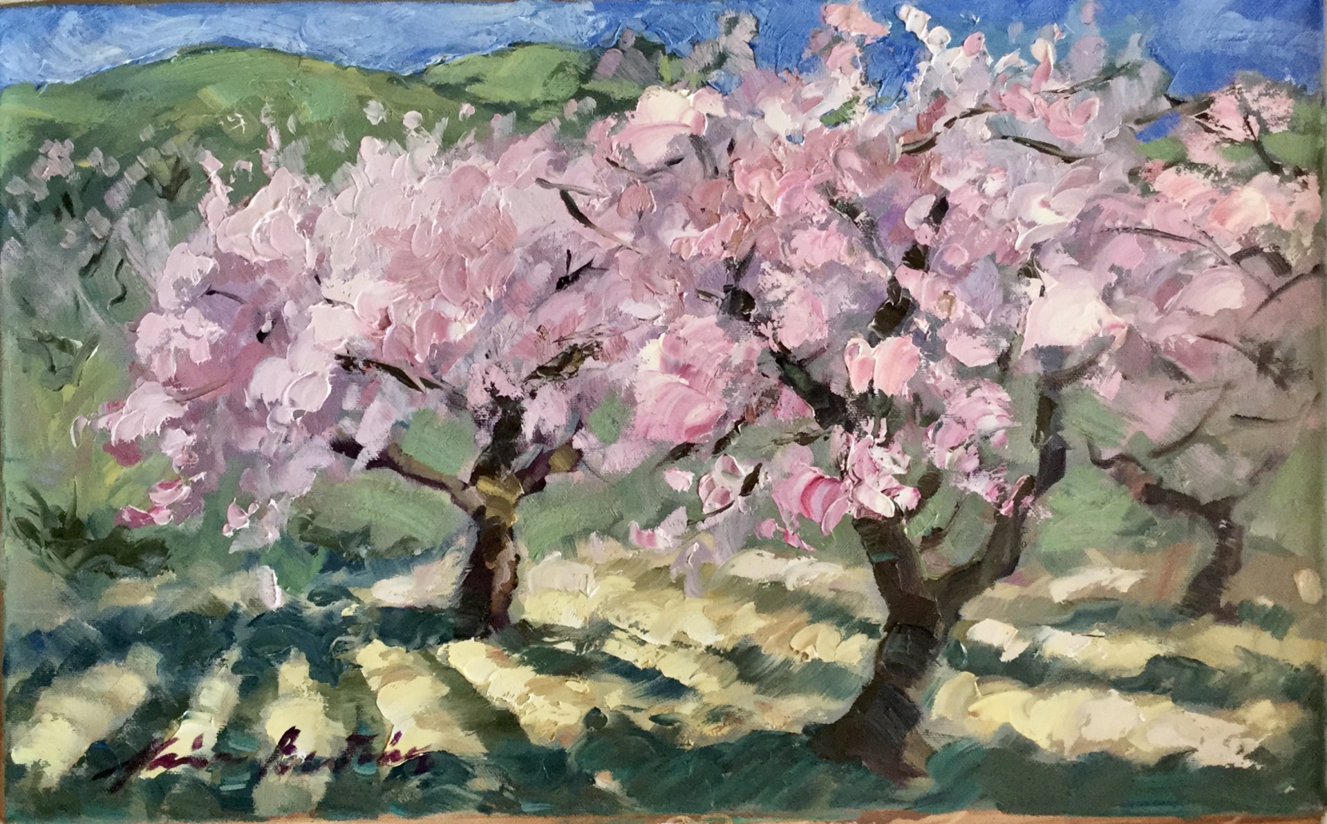 Almond Orchard In Bloom by Maria Bertrán