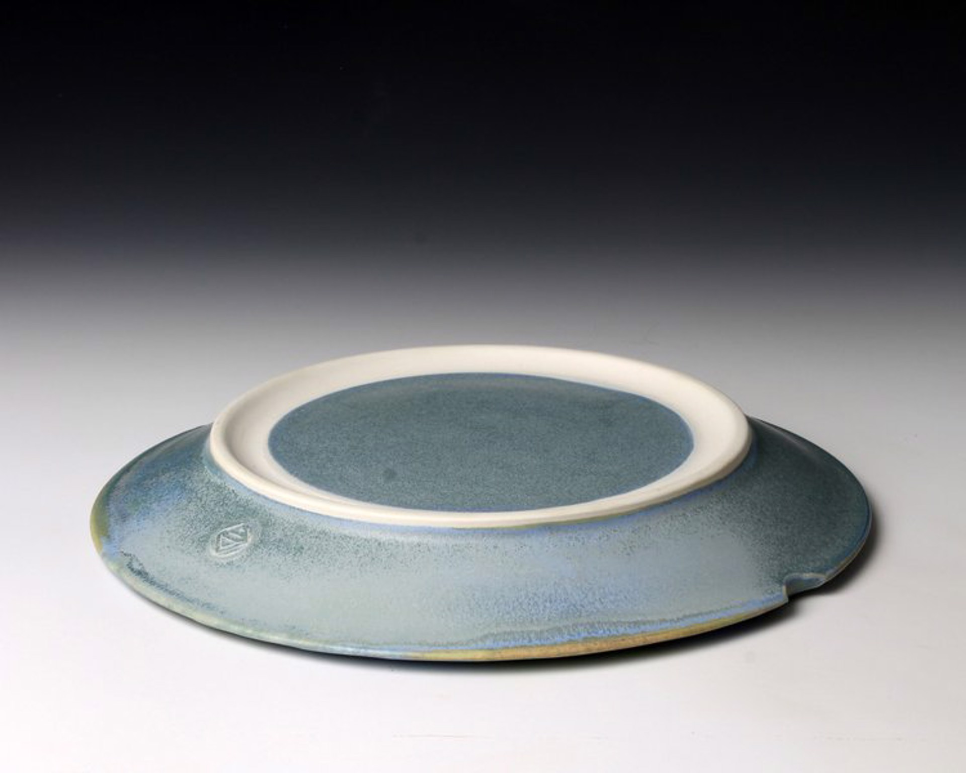 Blue Plate by Nick DeVries