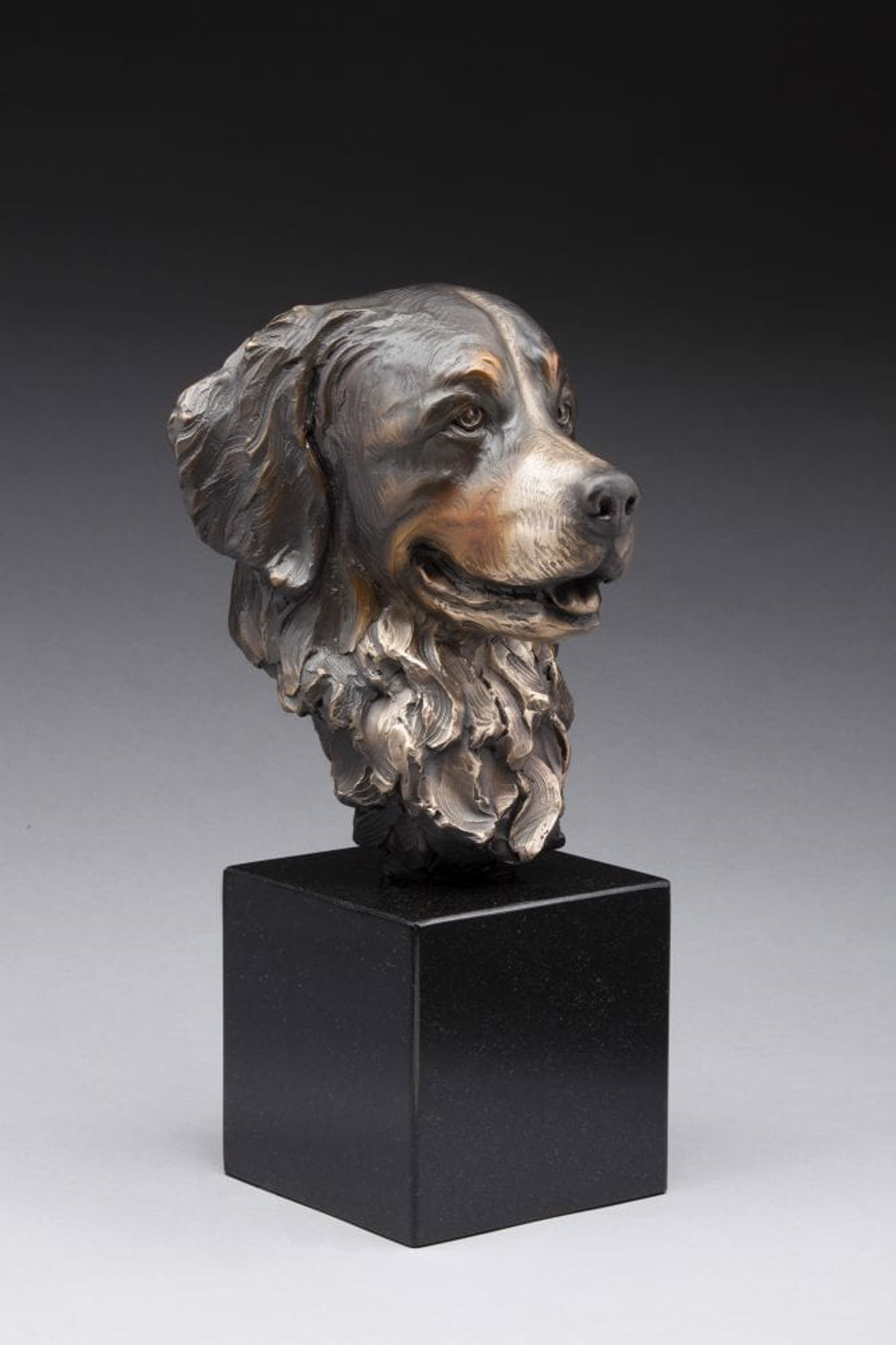 Mountain Treasure  Bernese Mountain Dog (Ed.10) by Daniel Glanz (sculptor)