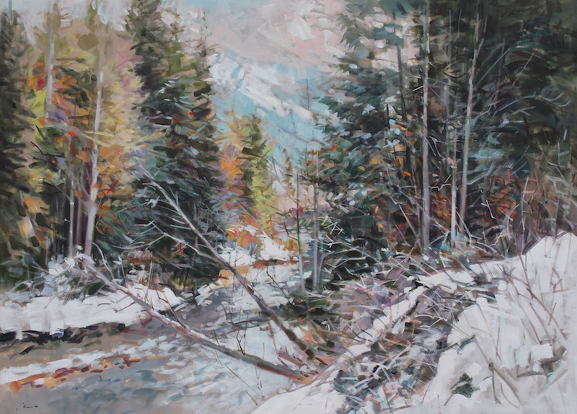 Fitzsimmons Creek Area - Winter by Jim Vest