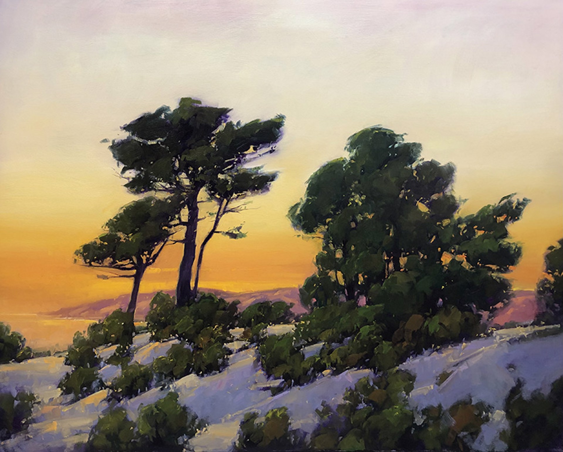 Dusk on the Dunes by Gregory Stocks