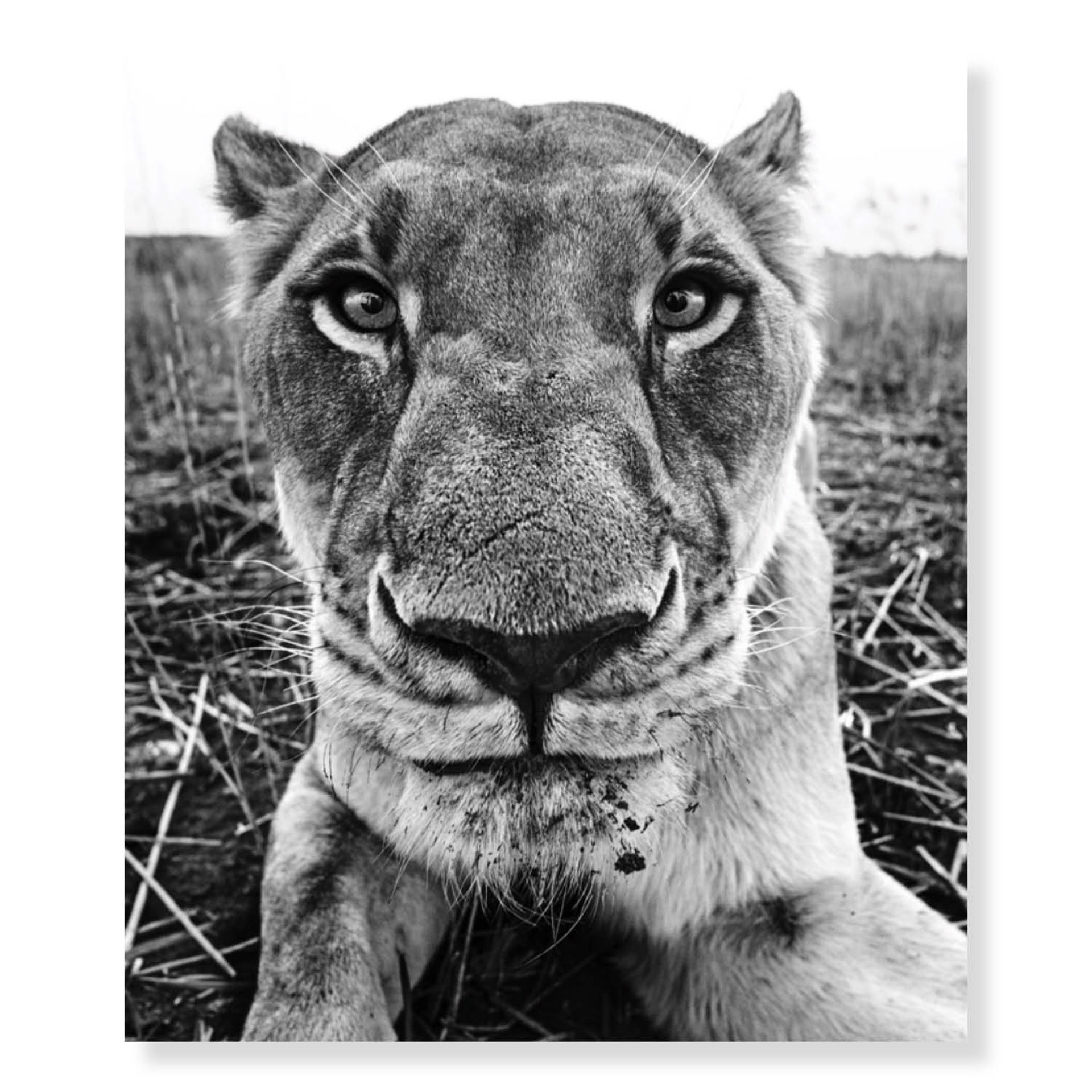 The Hunger Games by David Yarrow