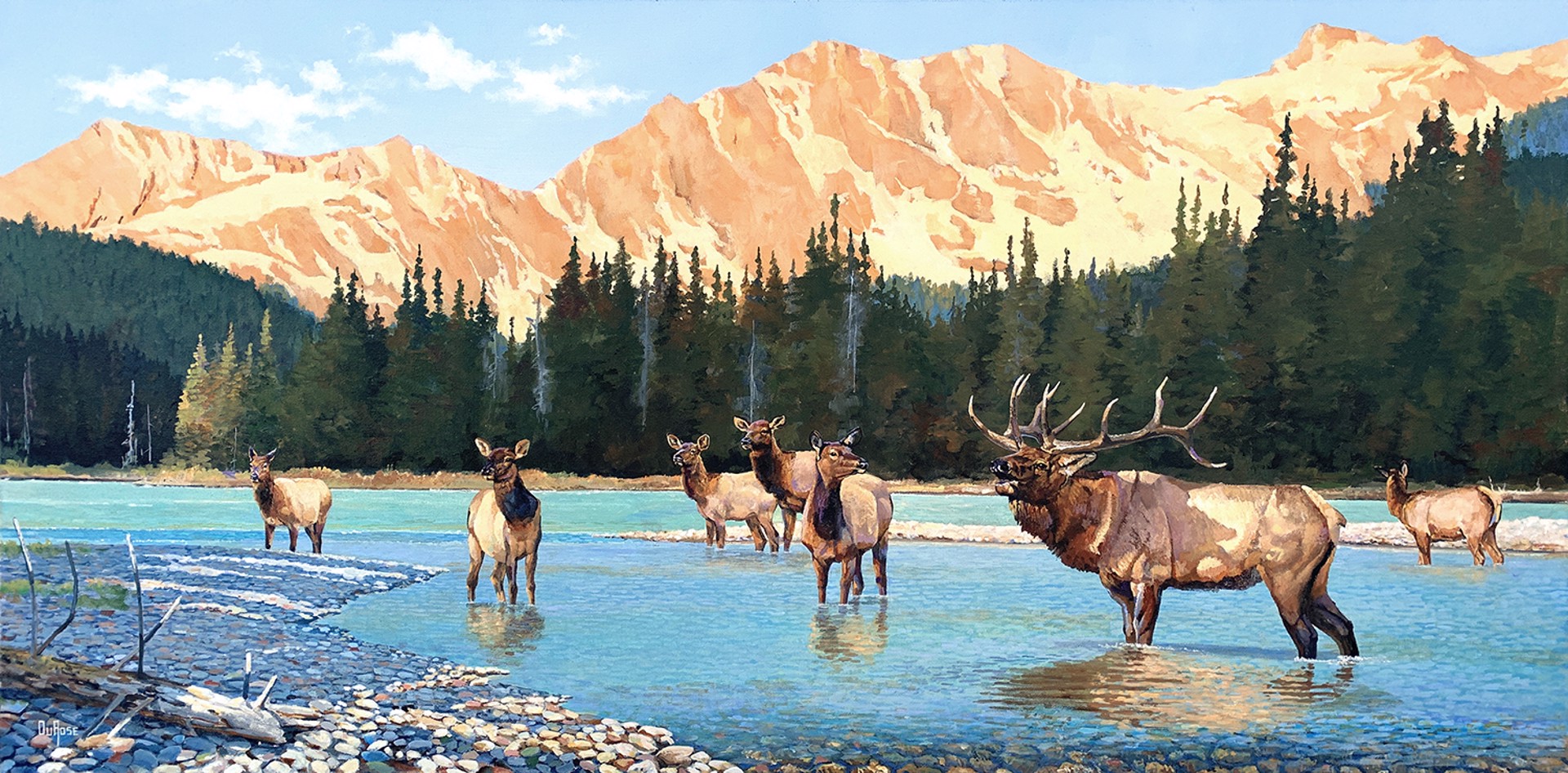 The Challenge - Elk by Ed DuRose