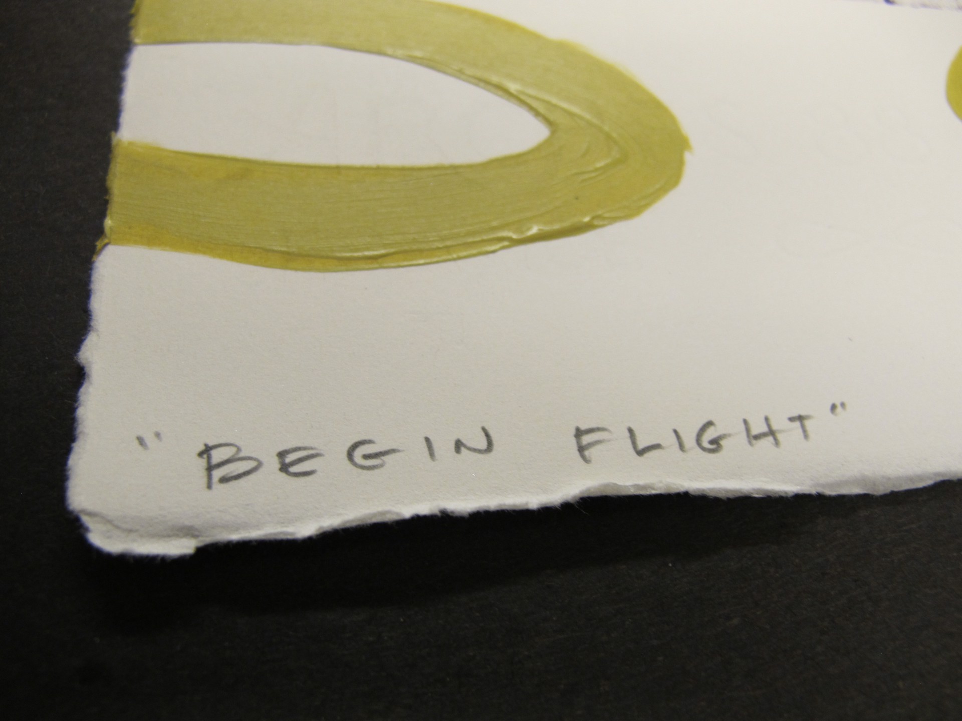 Begin Flight by Melanie Yazzie