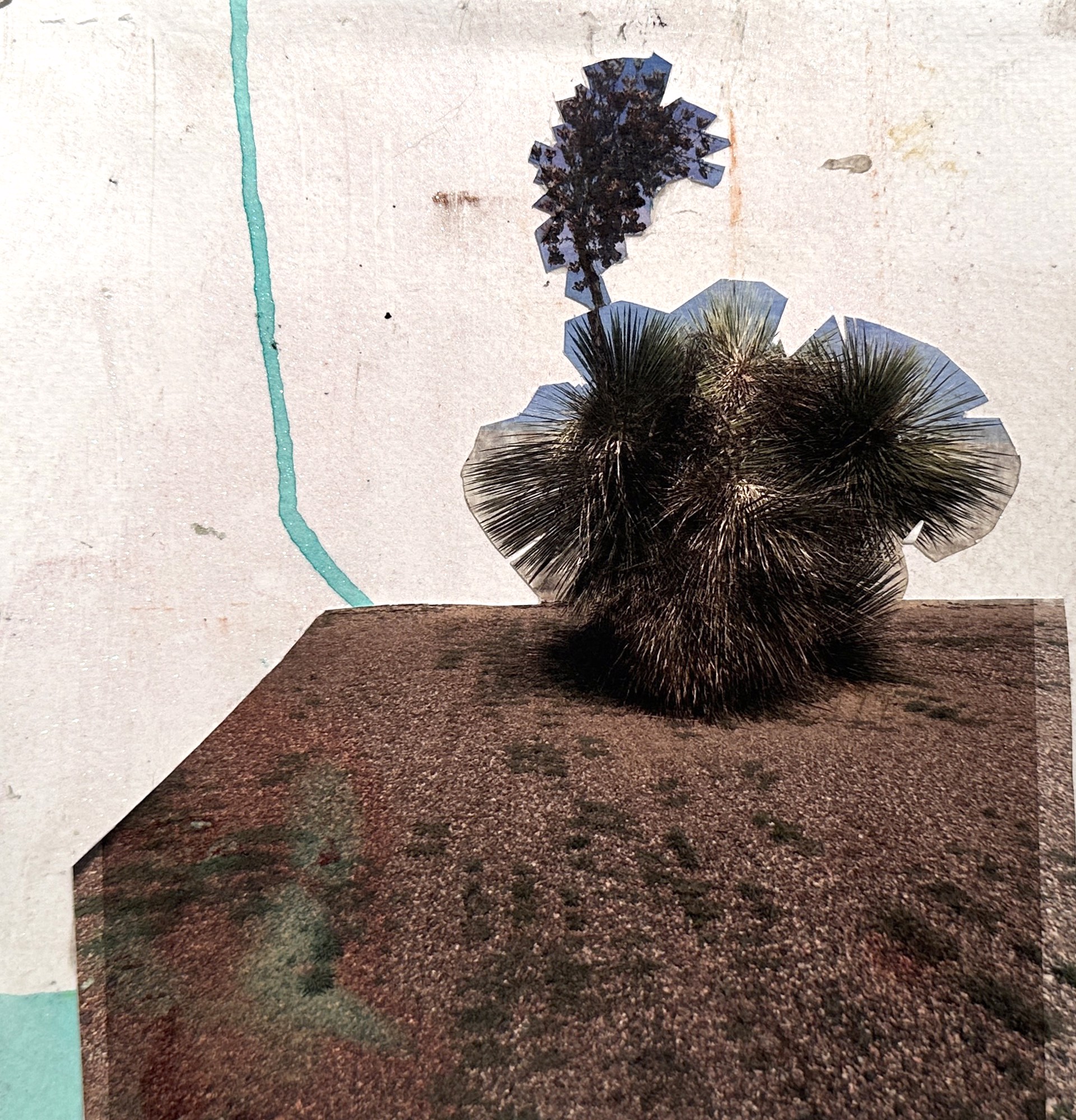 West Texas Expressions #5 by Jonathan Paul Jackson