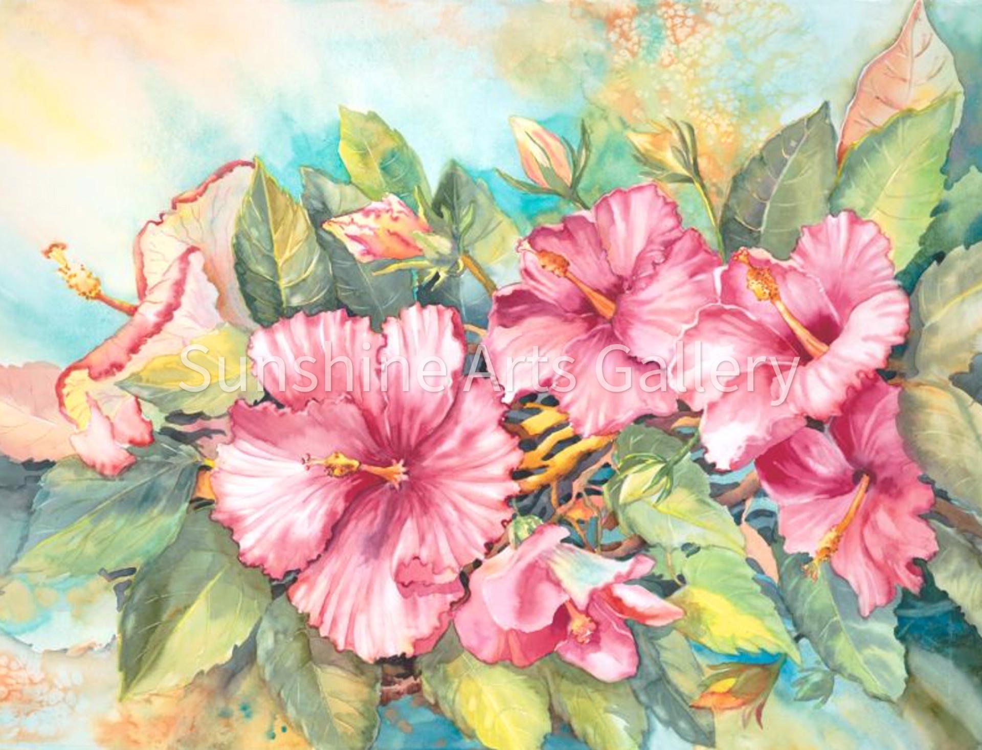 Pink Hibiscus by Connie Hennings-Chilton