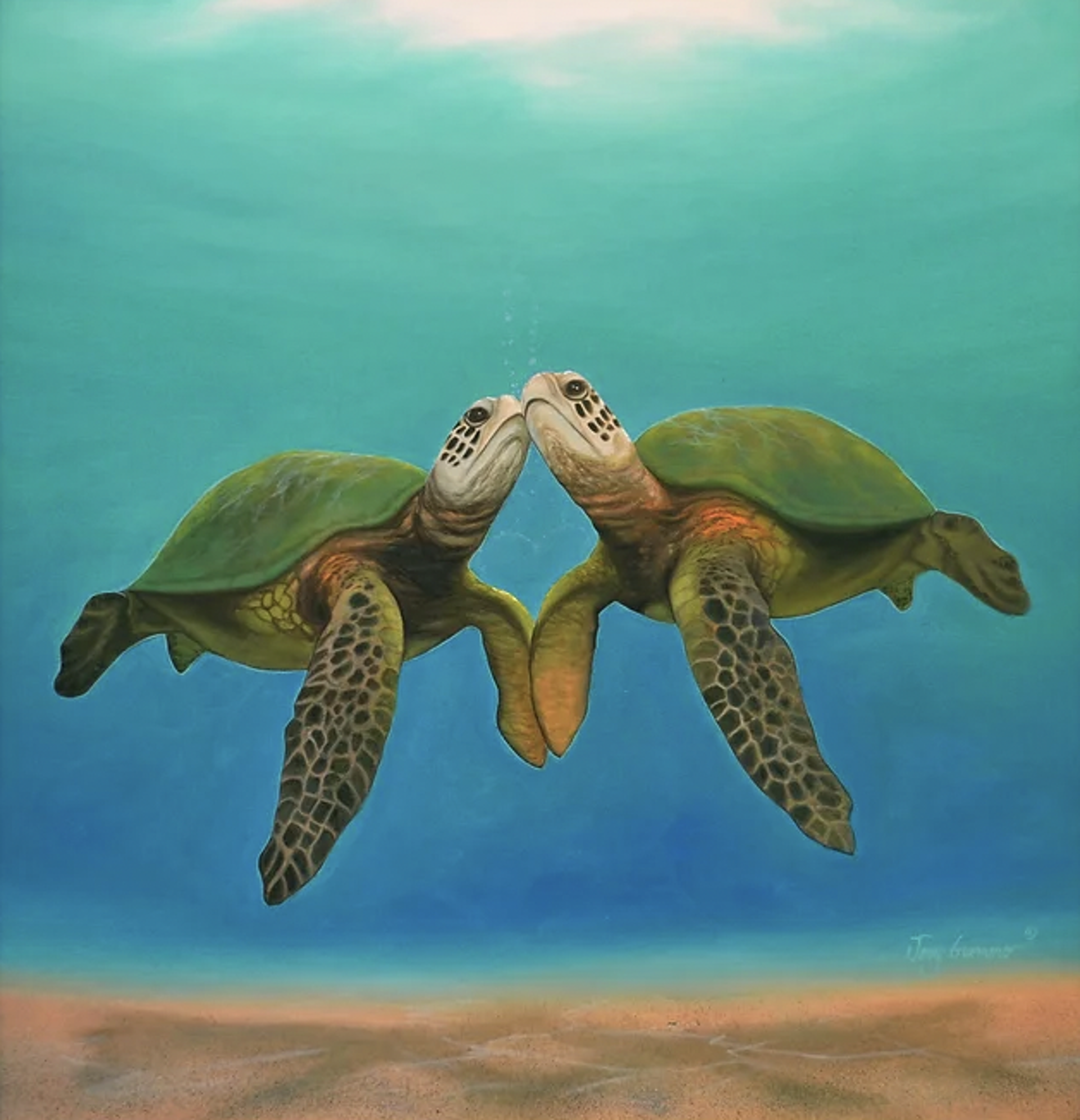 Honu Love by Jerry Guerrero