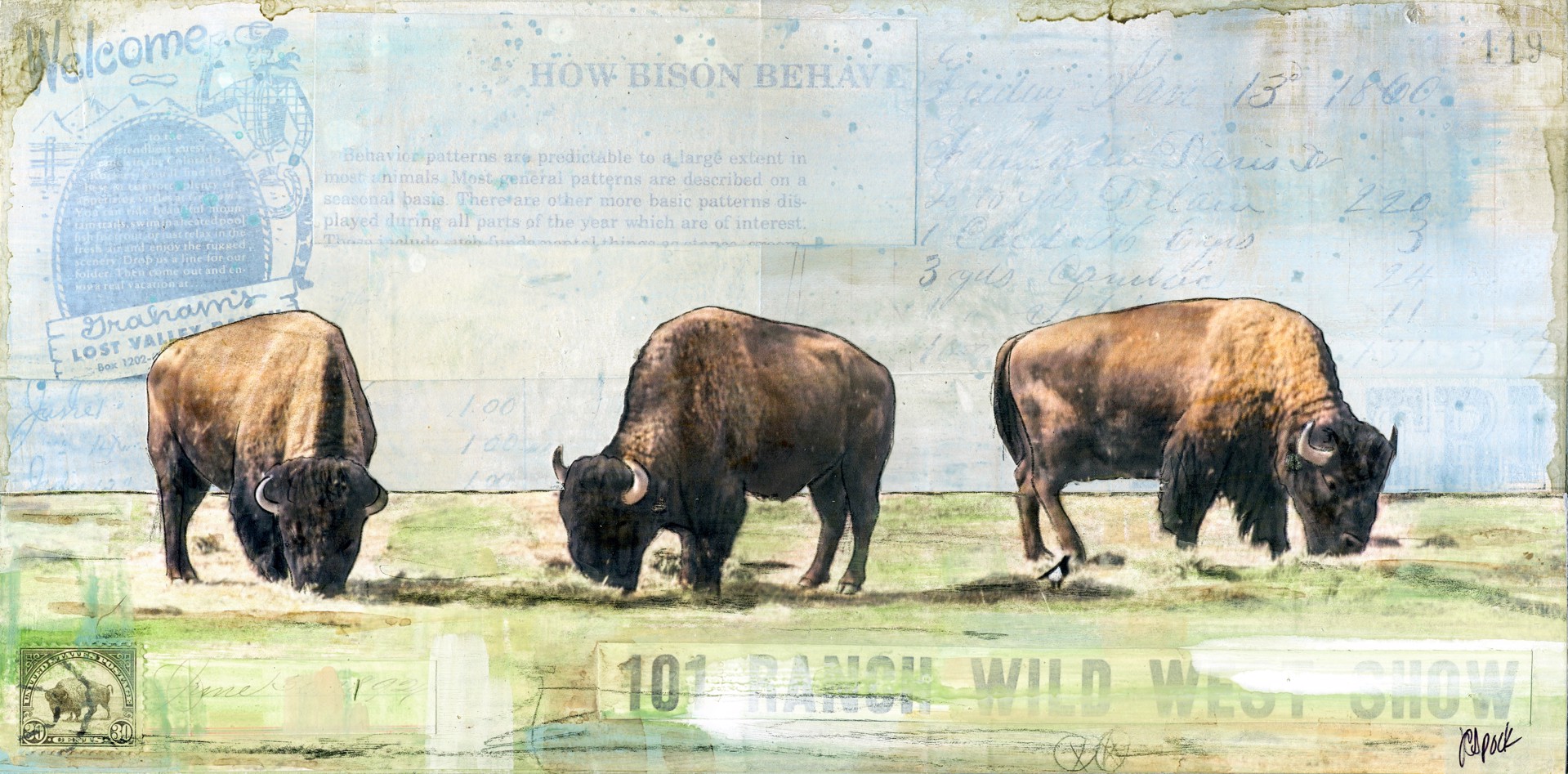 Bison Trio by JC Spock