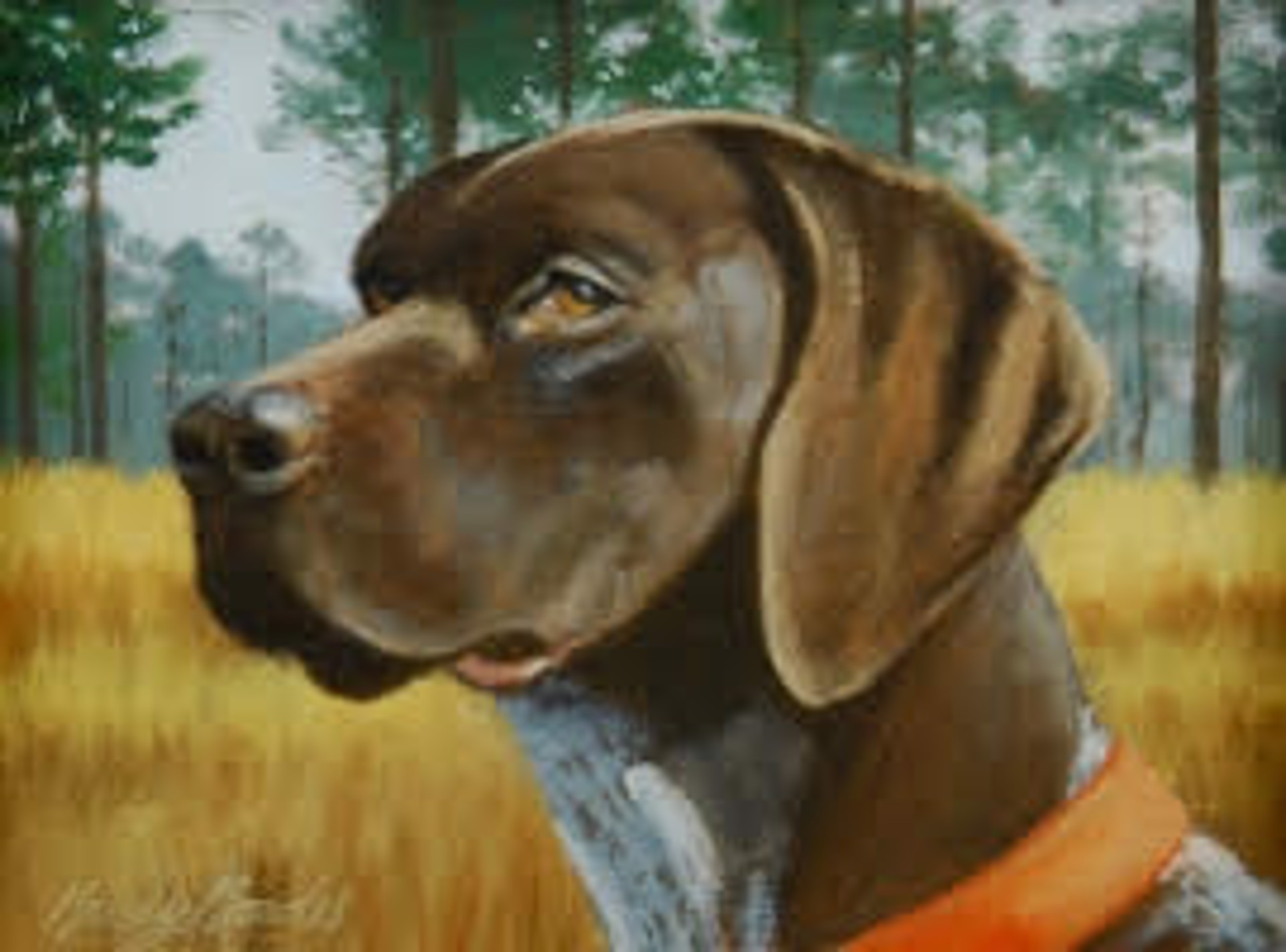  by Bucky Bowles
