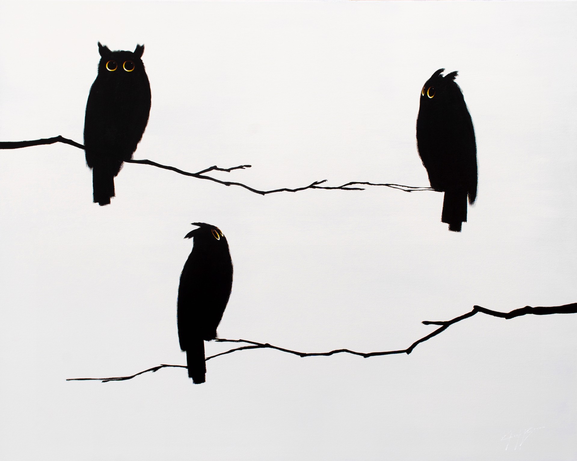 Three Owls on White by Josh Brown