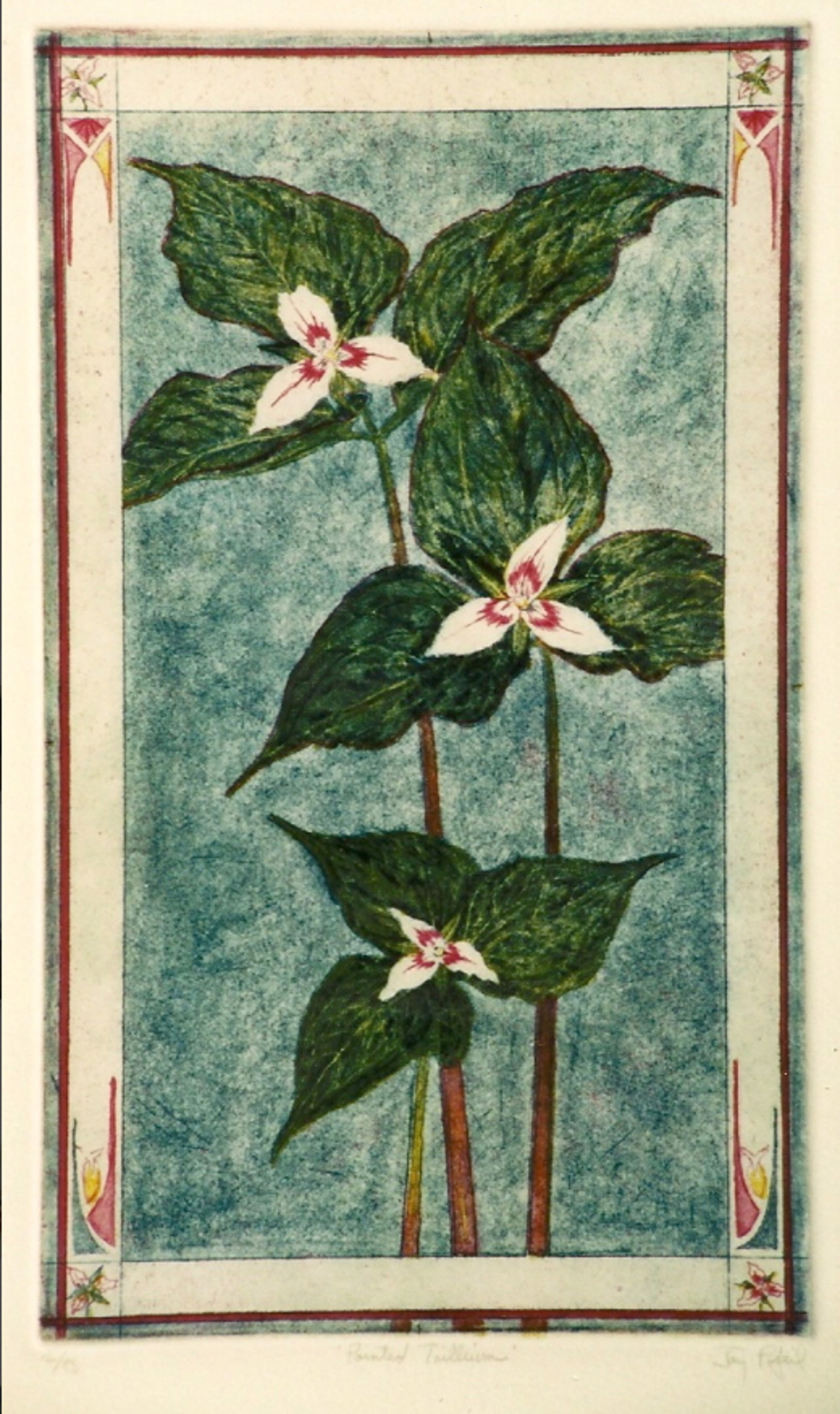 Painted Trillium by Jay Pfeil