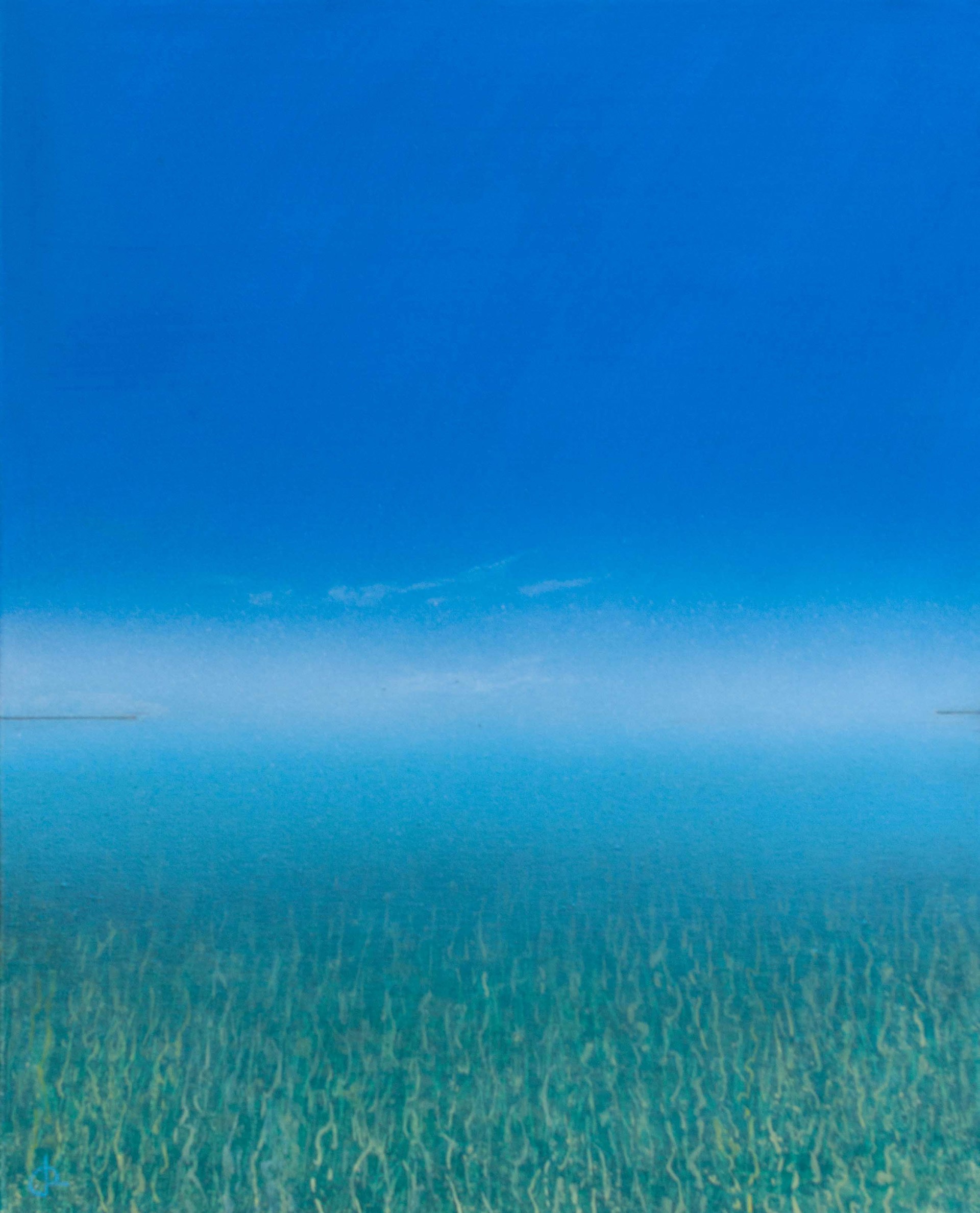 Seagrass by Peter Laughton