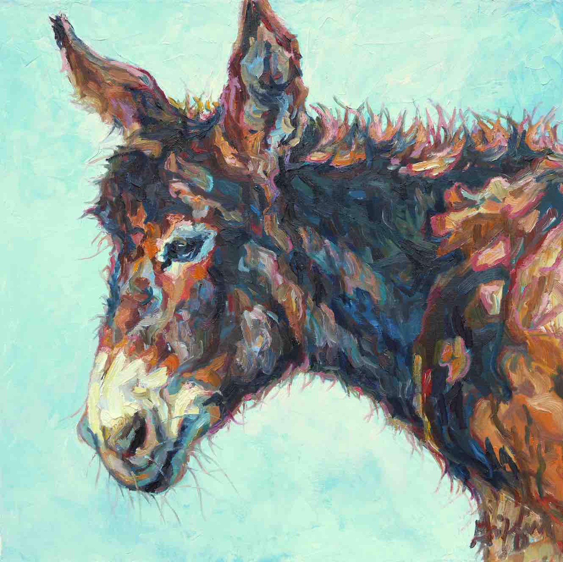 Wild Burro Portrait With Orange Sunlight And Blue Shadows By Patricia Griffin At Gallery WIld.