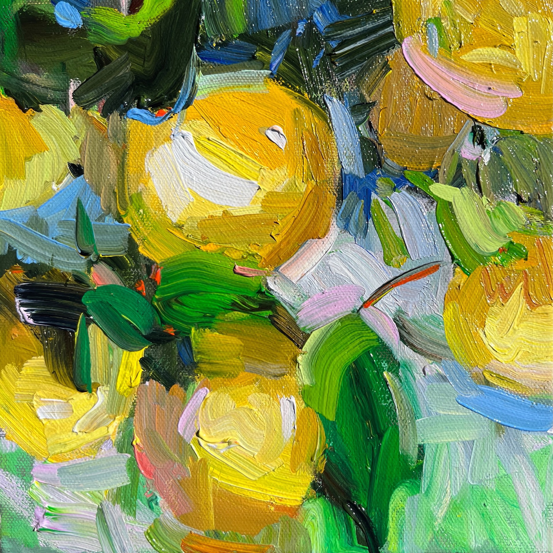 Lemon I by Marissa Vogl