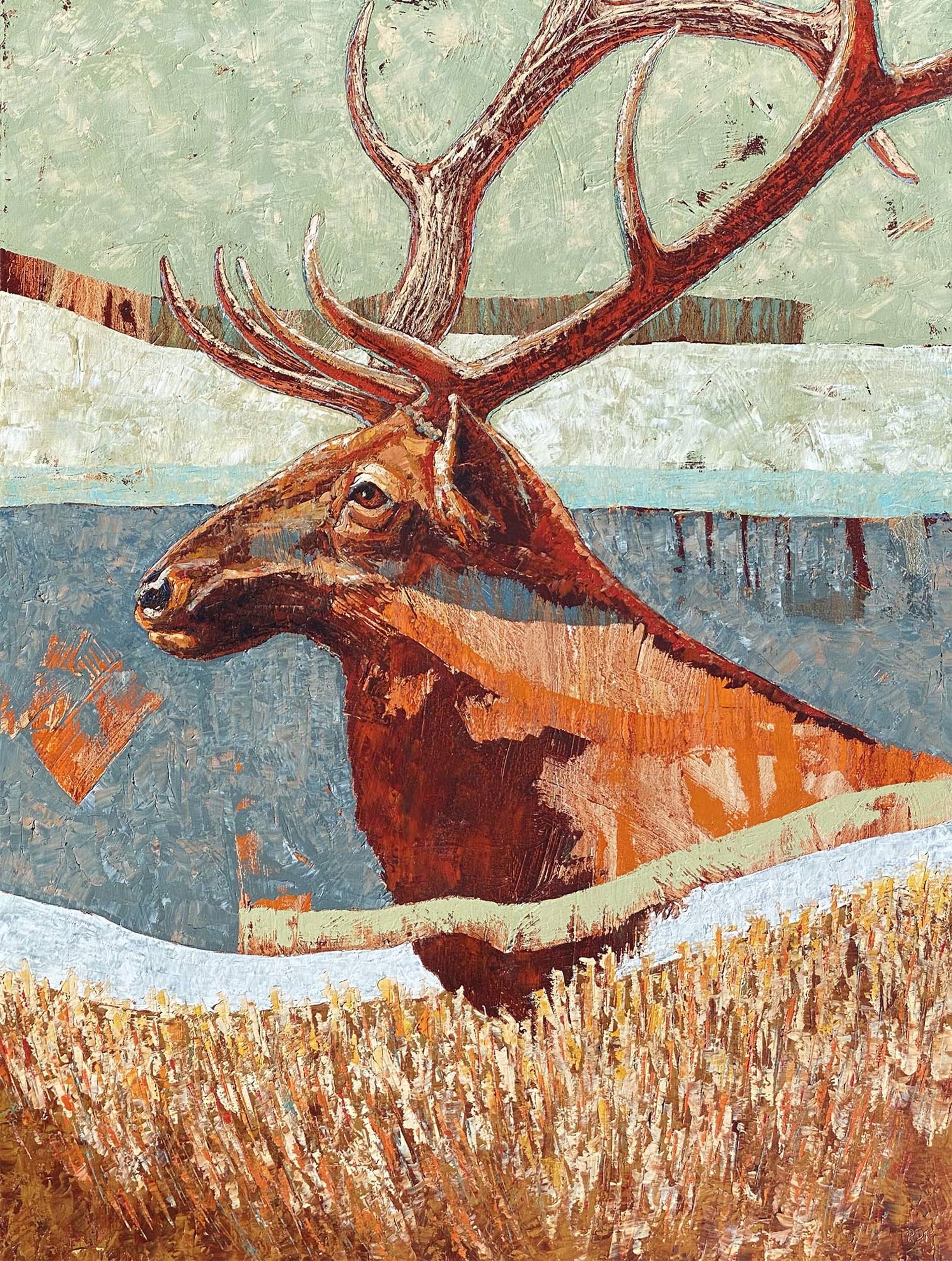 A Contemporary Western Painting Of A Bull Elk Head On An Abstract Background At Gallery Wild