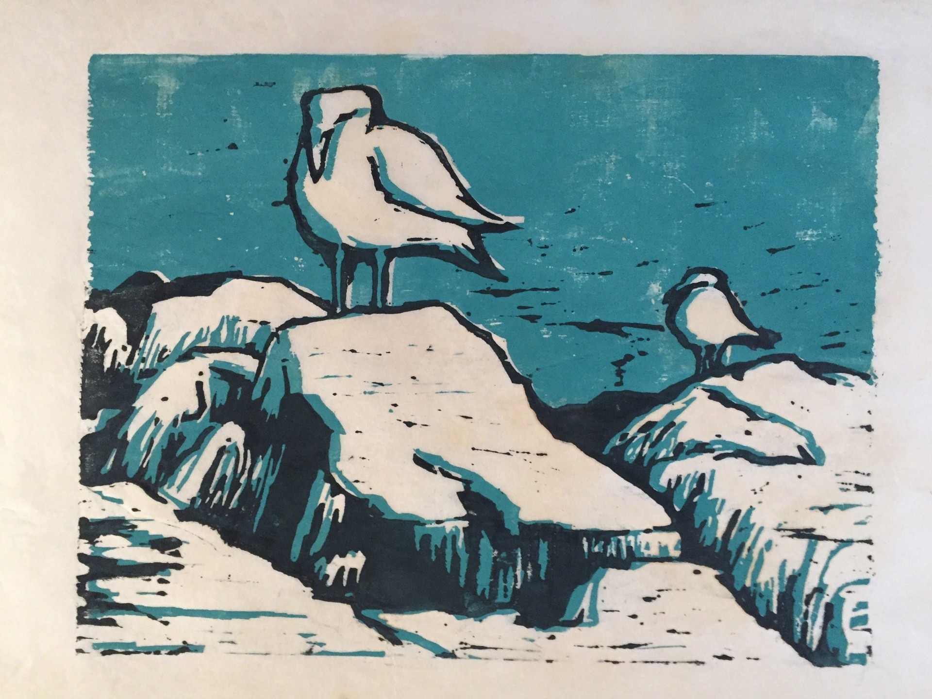 2 Gulls on Rocks by Doris Dickason