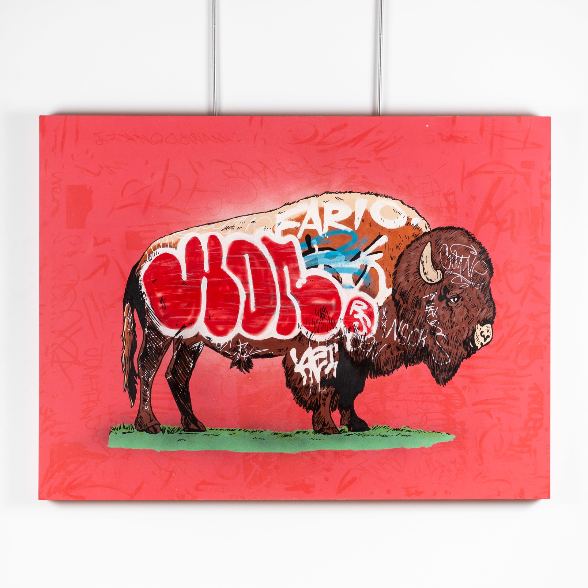 Graffiti Buffalo by Whatisadam