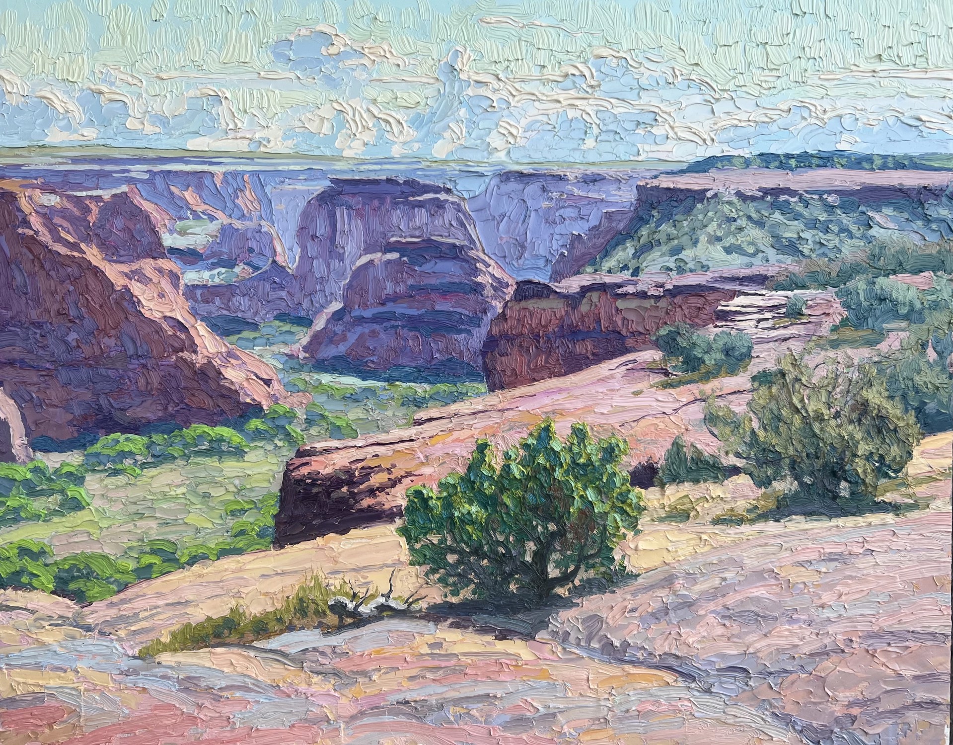 Above the Junction, Canyon de Chelly by Billyo O'Donnell