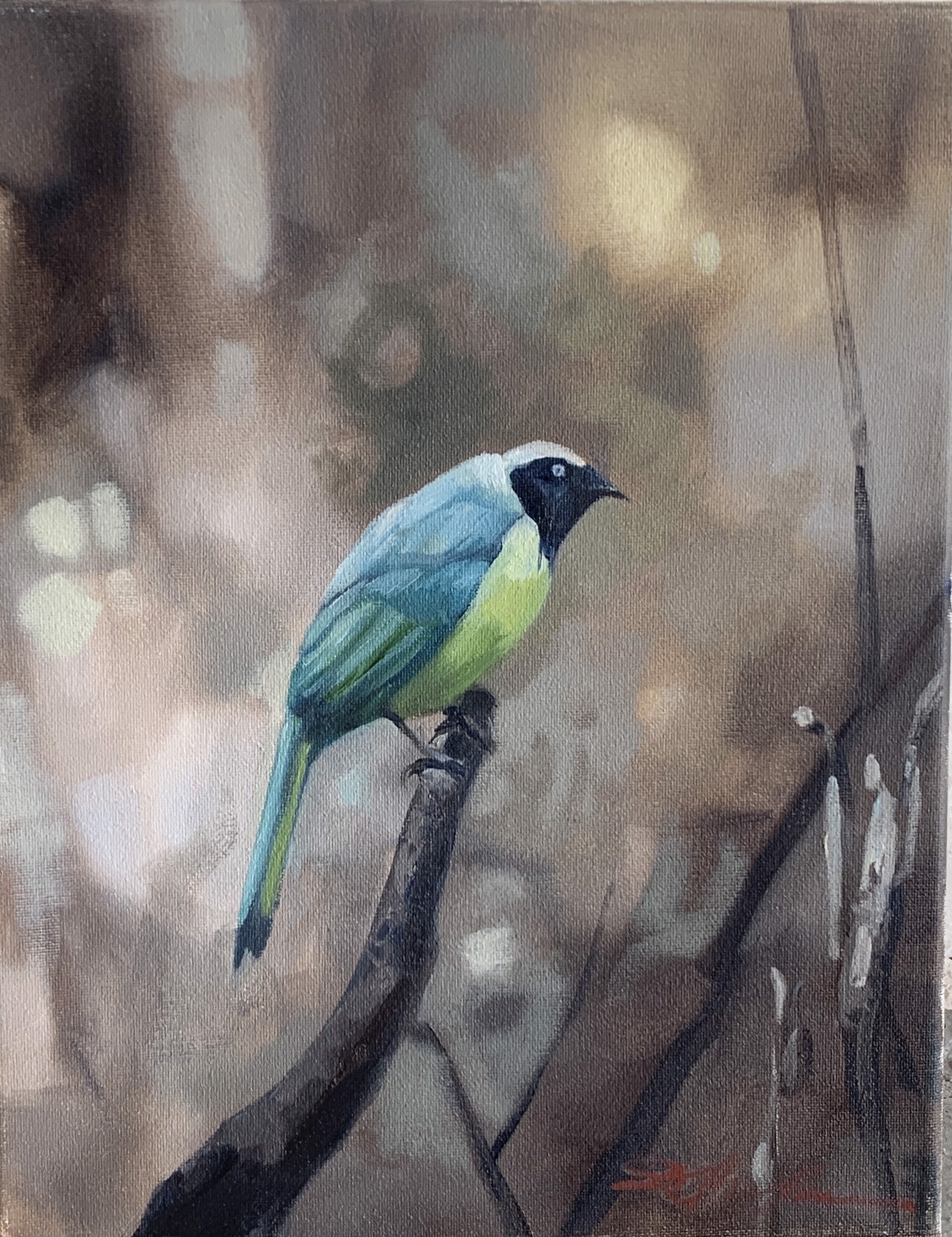 Bird III by Donna Hughes