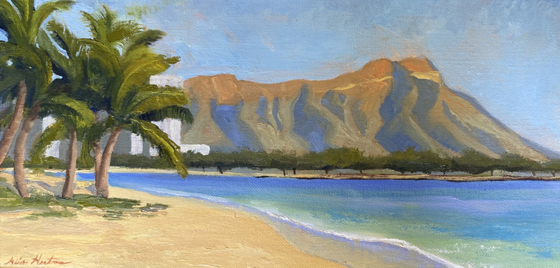 Diamond Head by Alissa Hartmann