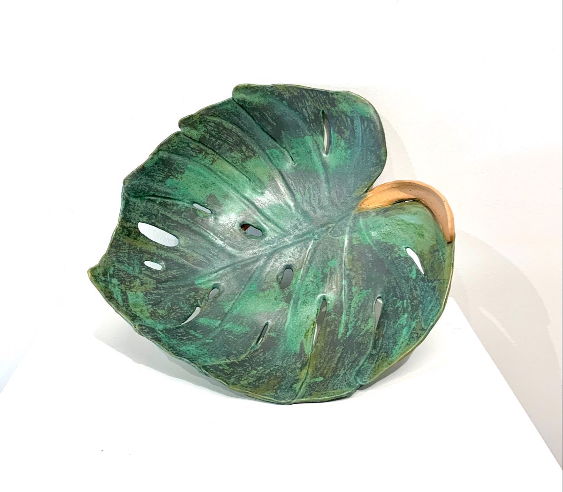 Philodendron Bowl by Janet Leazenby