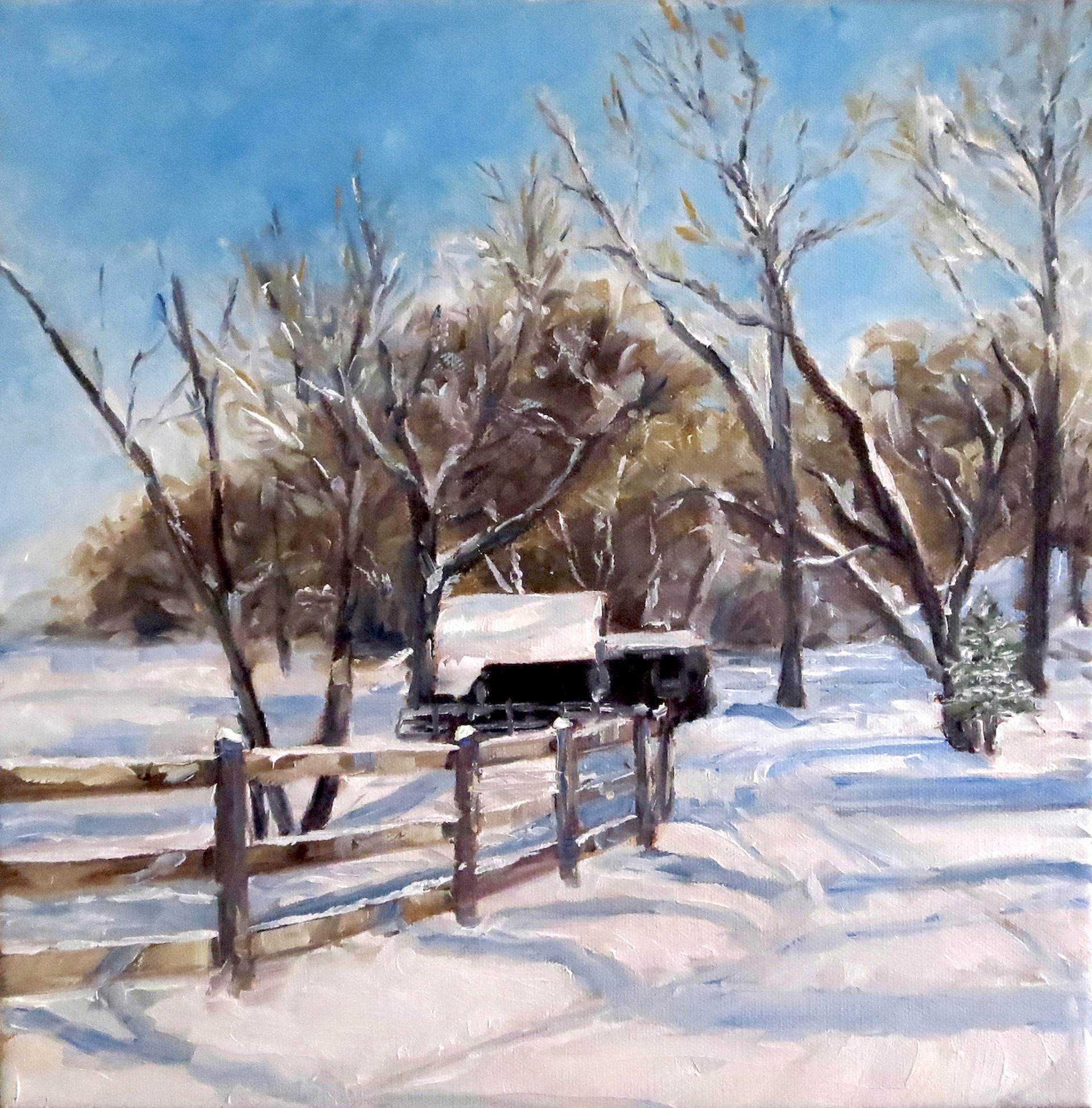 Oklahoma Snow by Karin Naylor