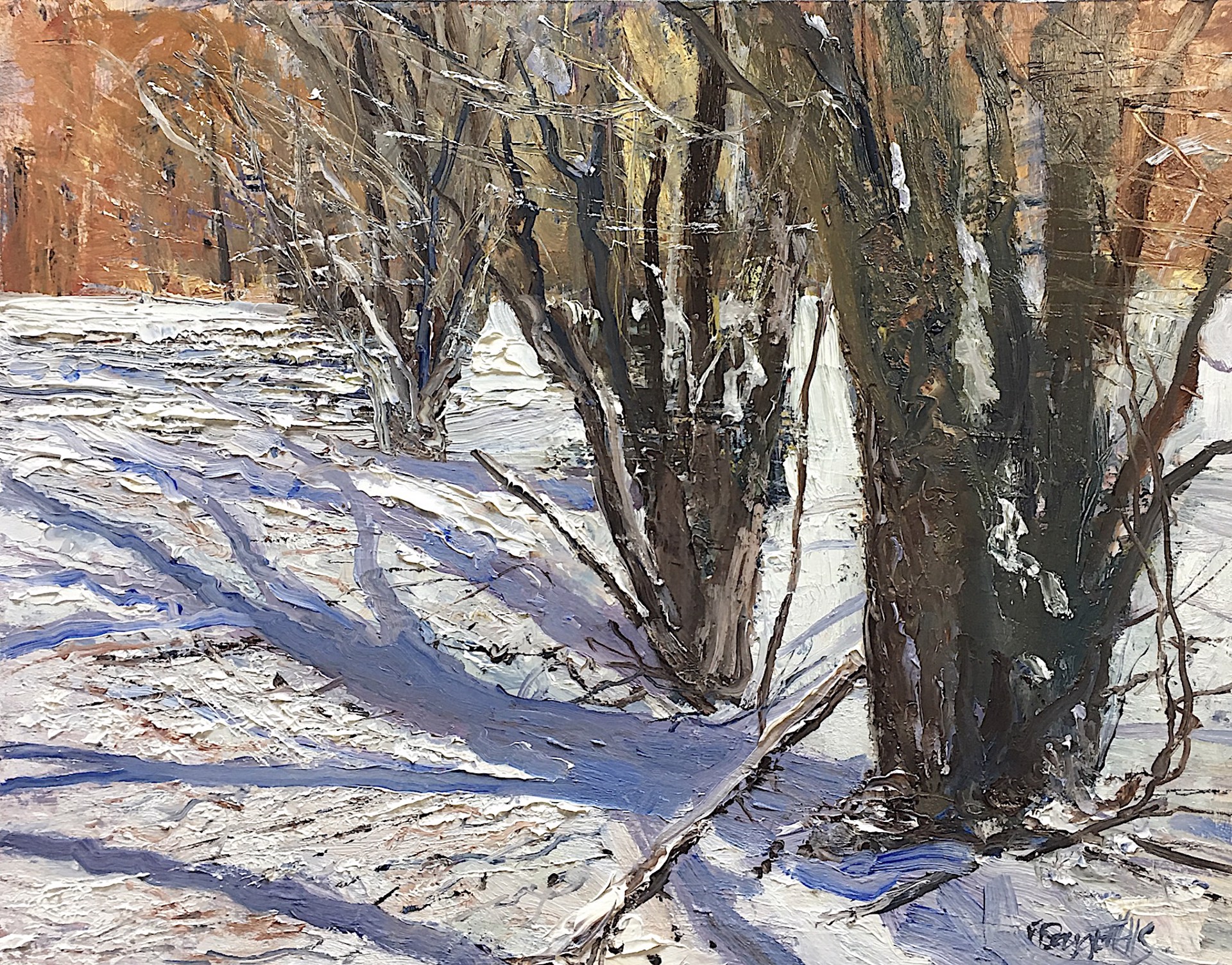Snow Shadows by Frank Baggett