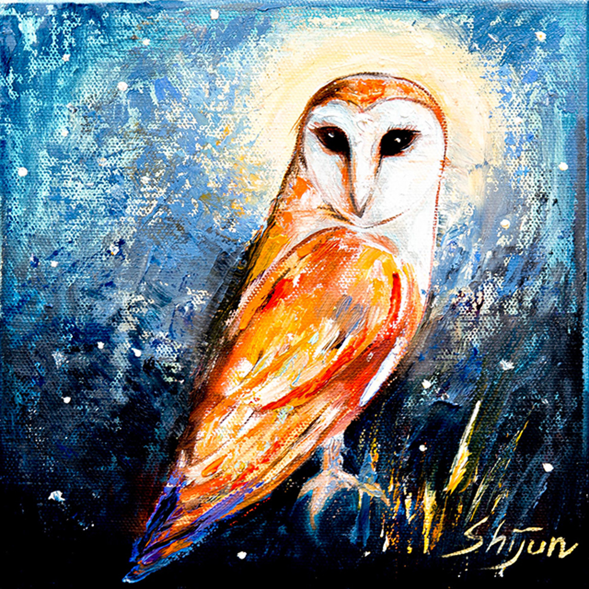 Barred Owl by Shijun Munns