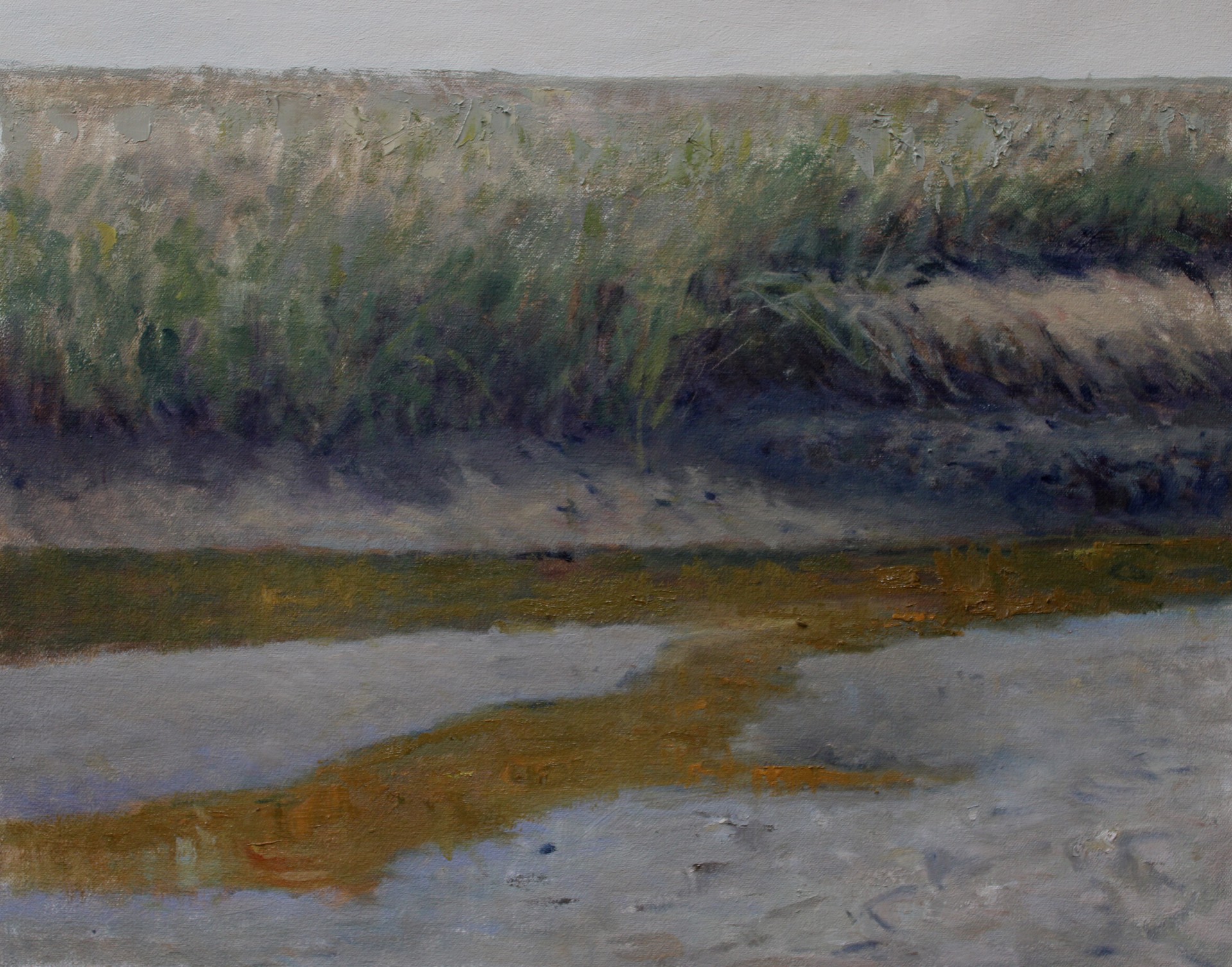 Salt Marsh in June by John Stanford