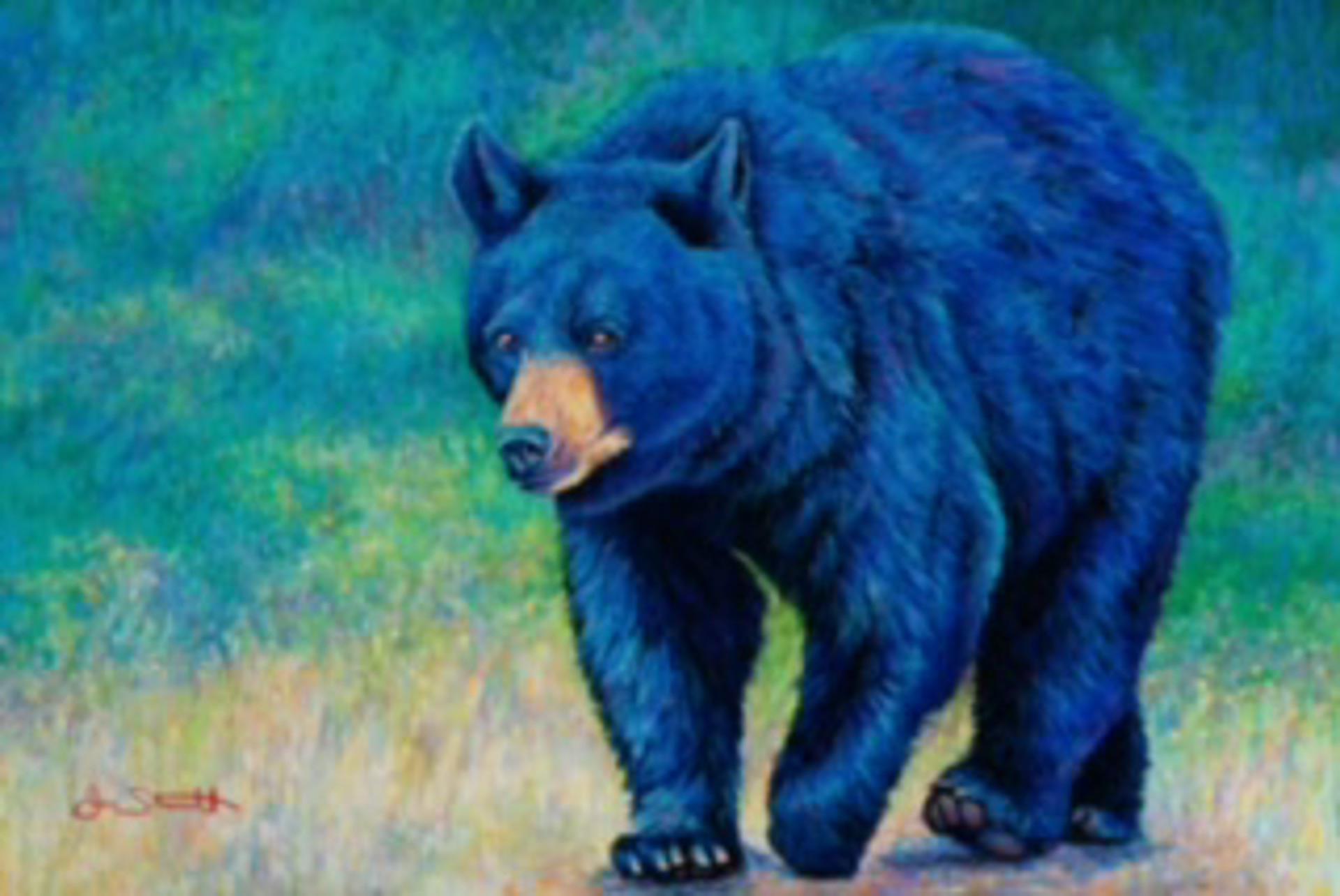Bear "Steady as a Mountain Song by Jen Starwalt