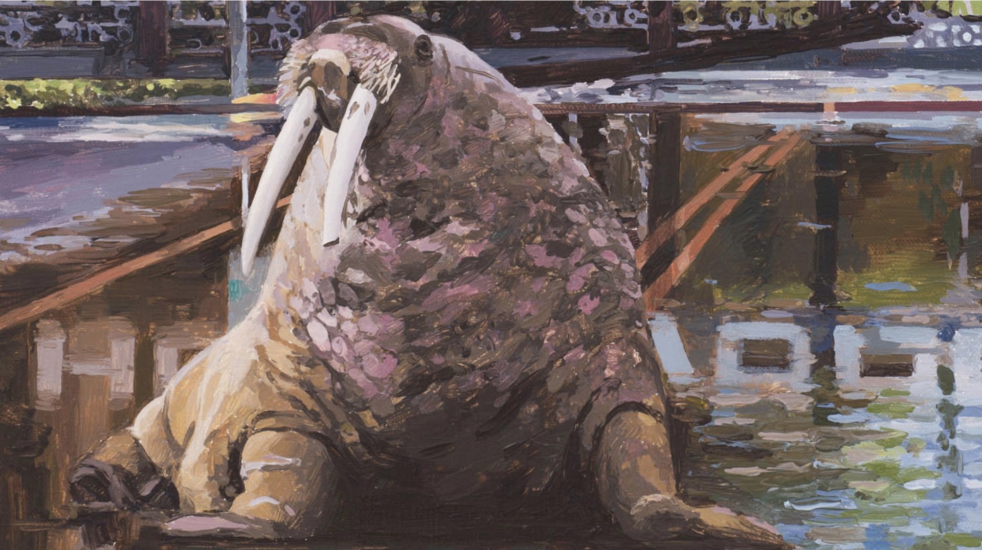 Walrus by Scott Listfield