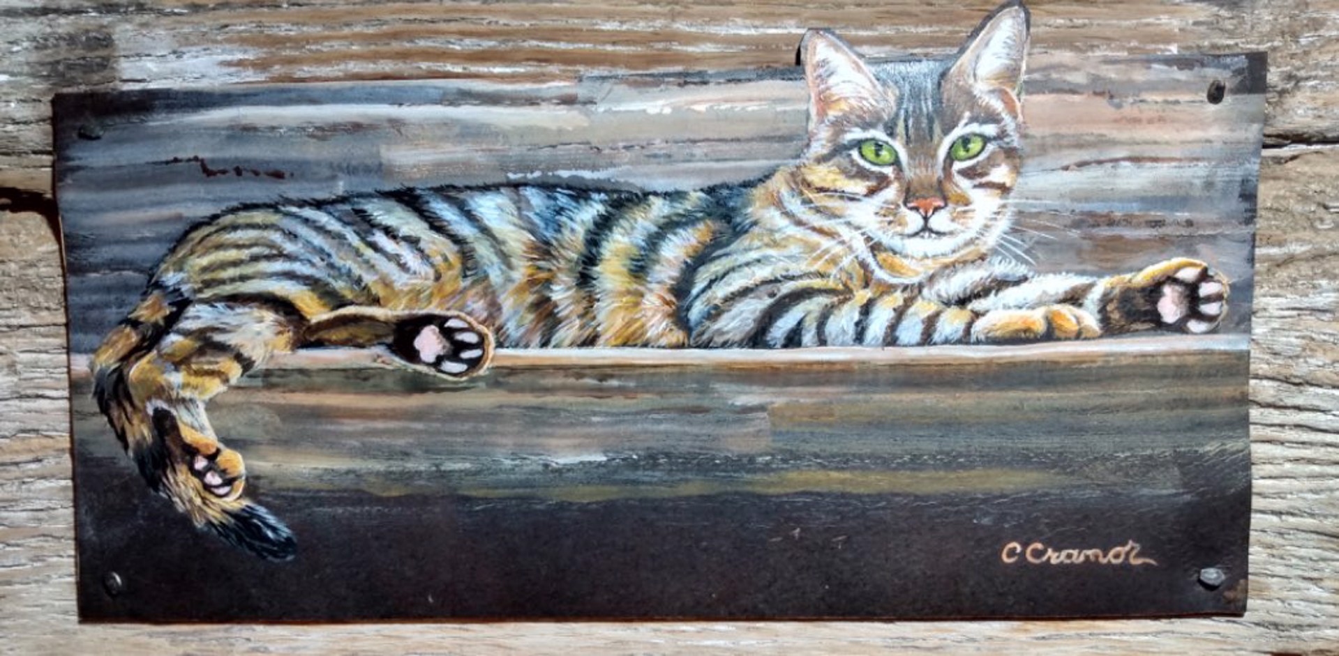 Barn Cat by Cindy Cranor