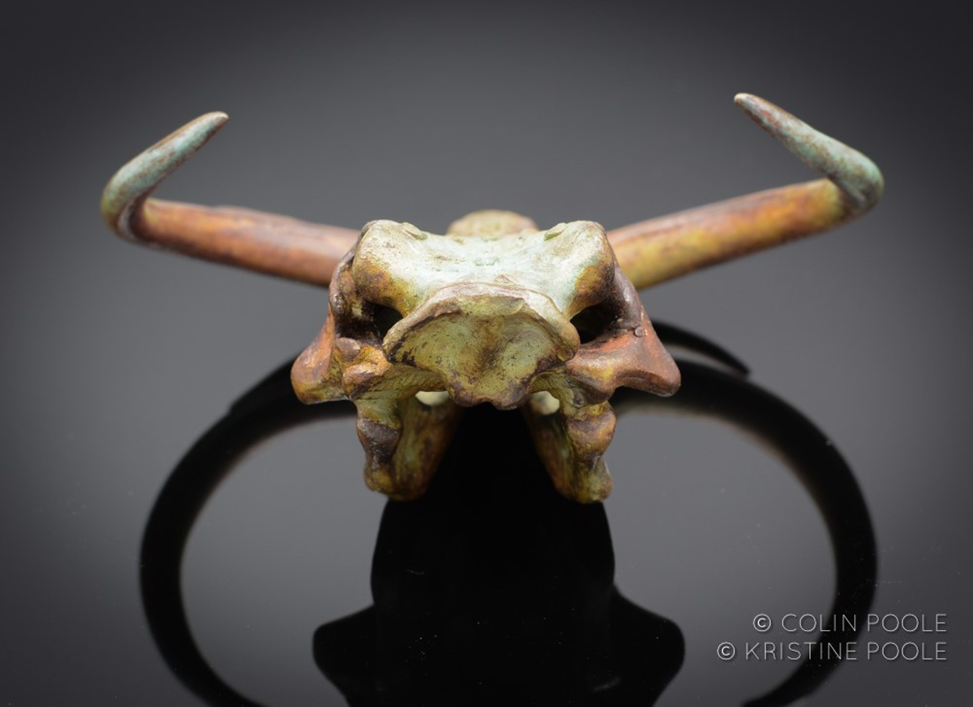Grand Tusker  (Warthog)Talisman Skull 4 by Colin & Kristine Poole