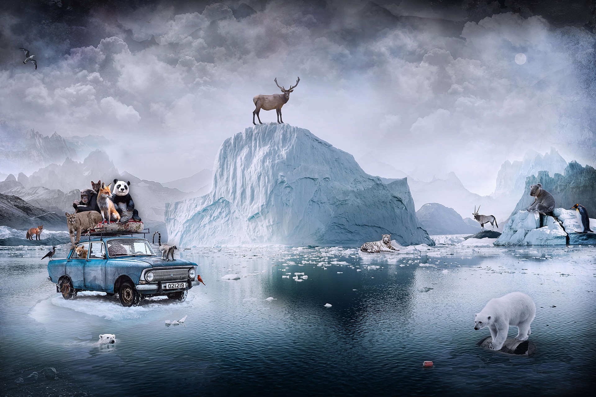 Arctic Diaries by Marcin Owczarek