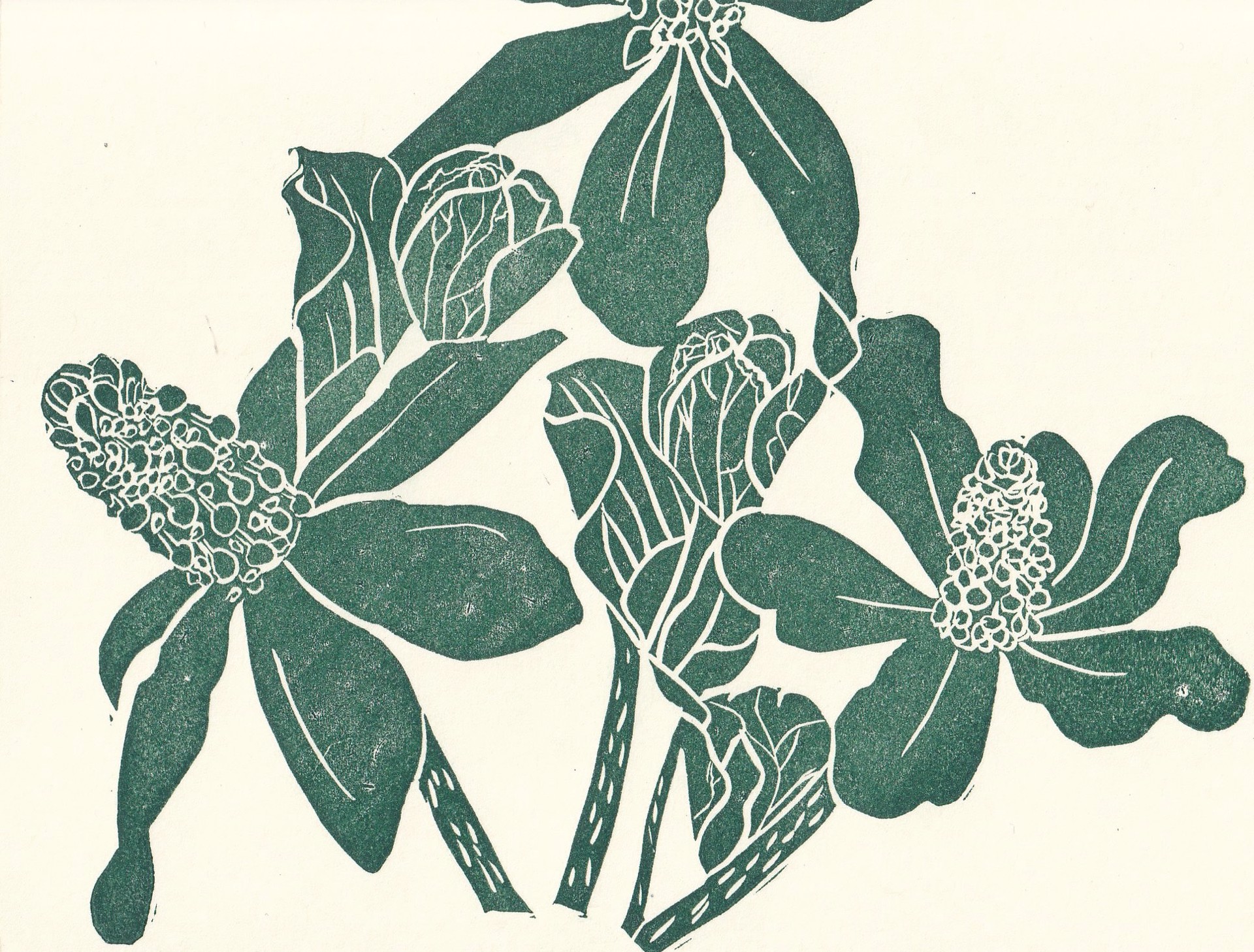 Yerba Mansa Card by Kat Kinnick