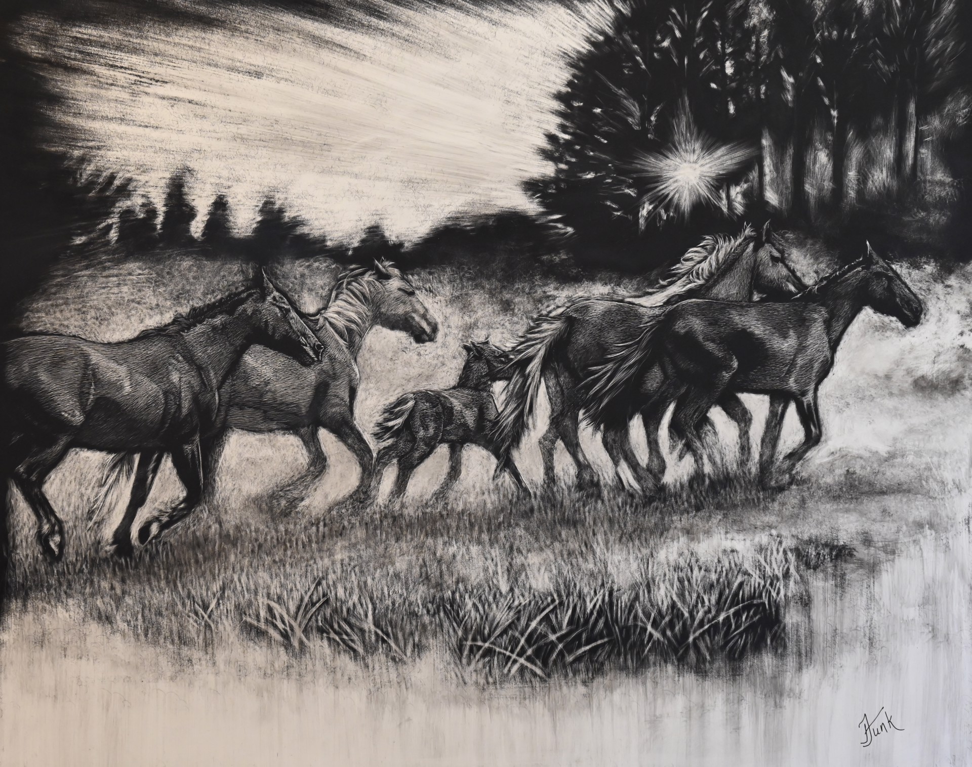 Wild Horses Running Through the Mist by Janet Funk