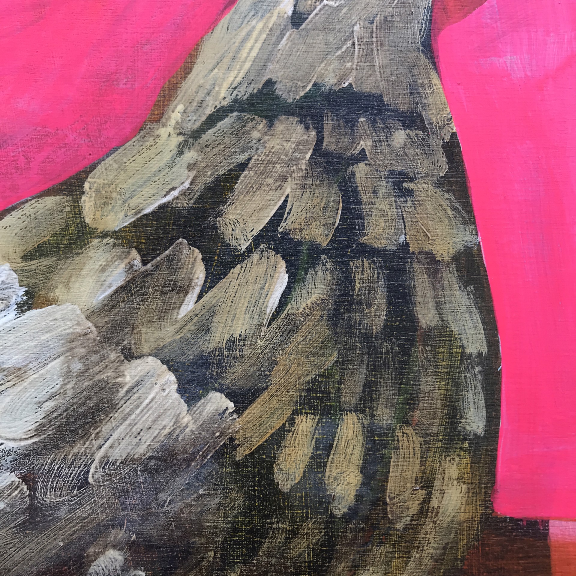 Hen and Barn on Hot Pink by Rachael Van Dyke
